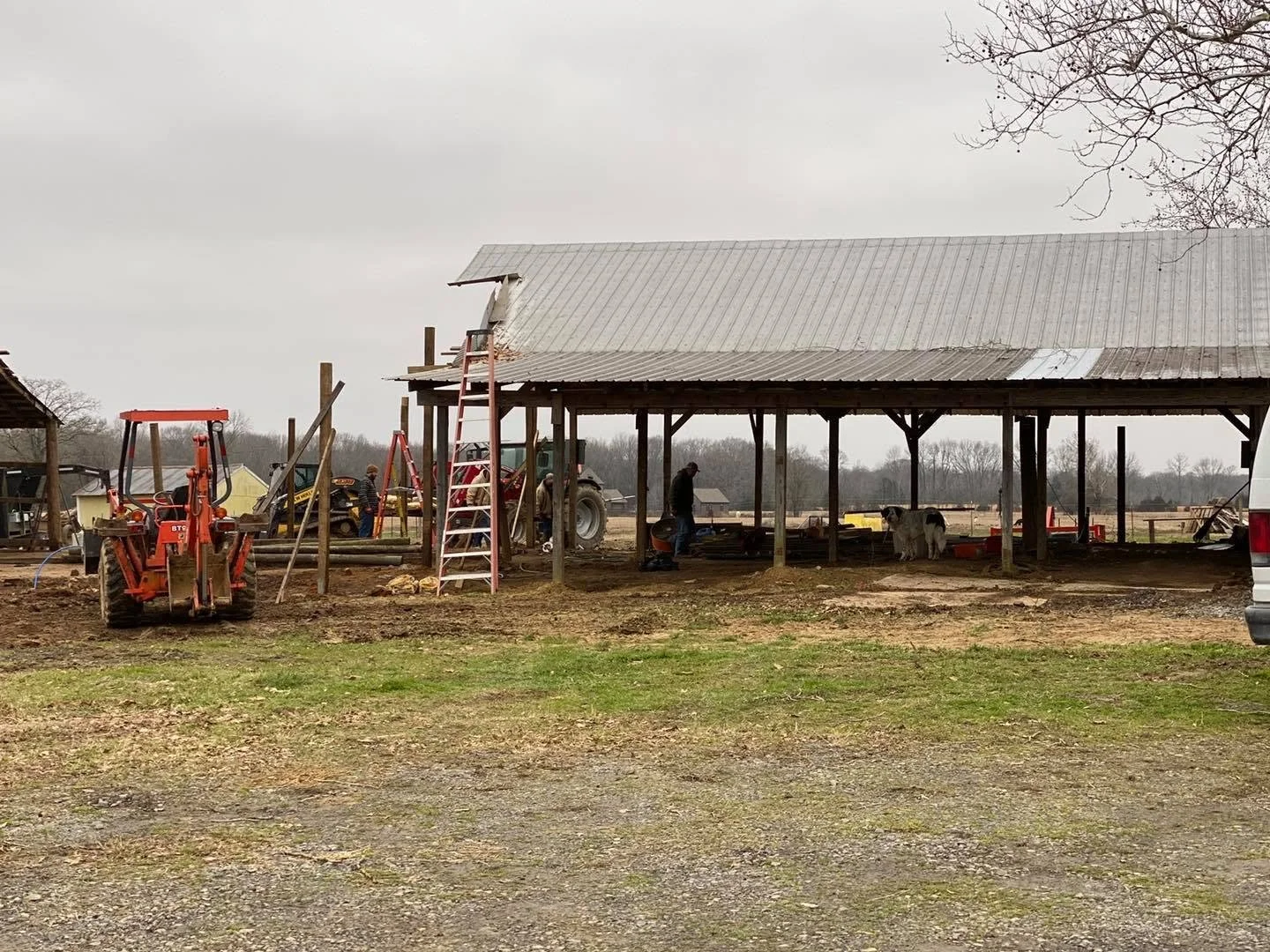 Farm construction site with a large open-sided shed, tractors, ladders, and workers, surrounded by farm equipment and a cow.