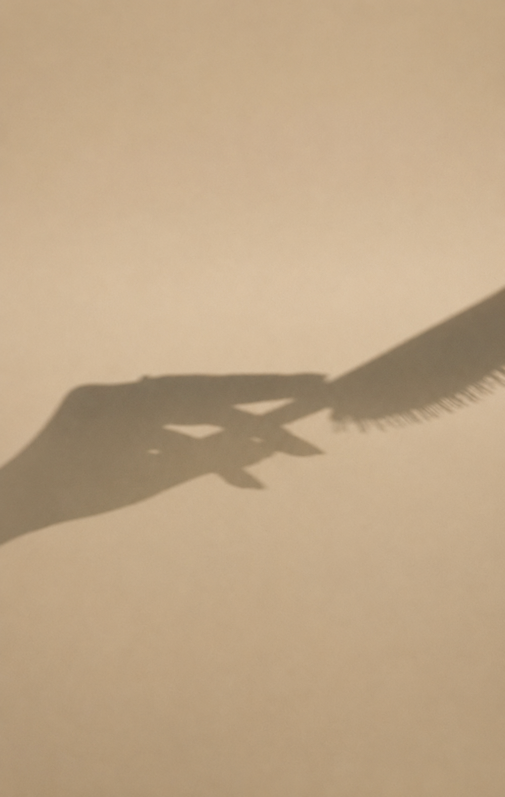 Shadow of a hand holding a paintbrush on a beige wall.