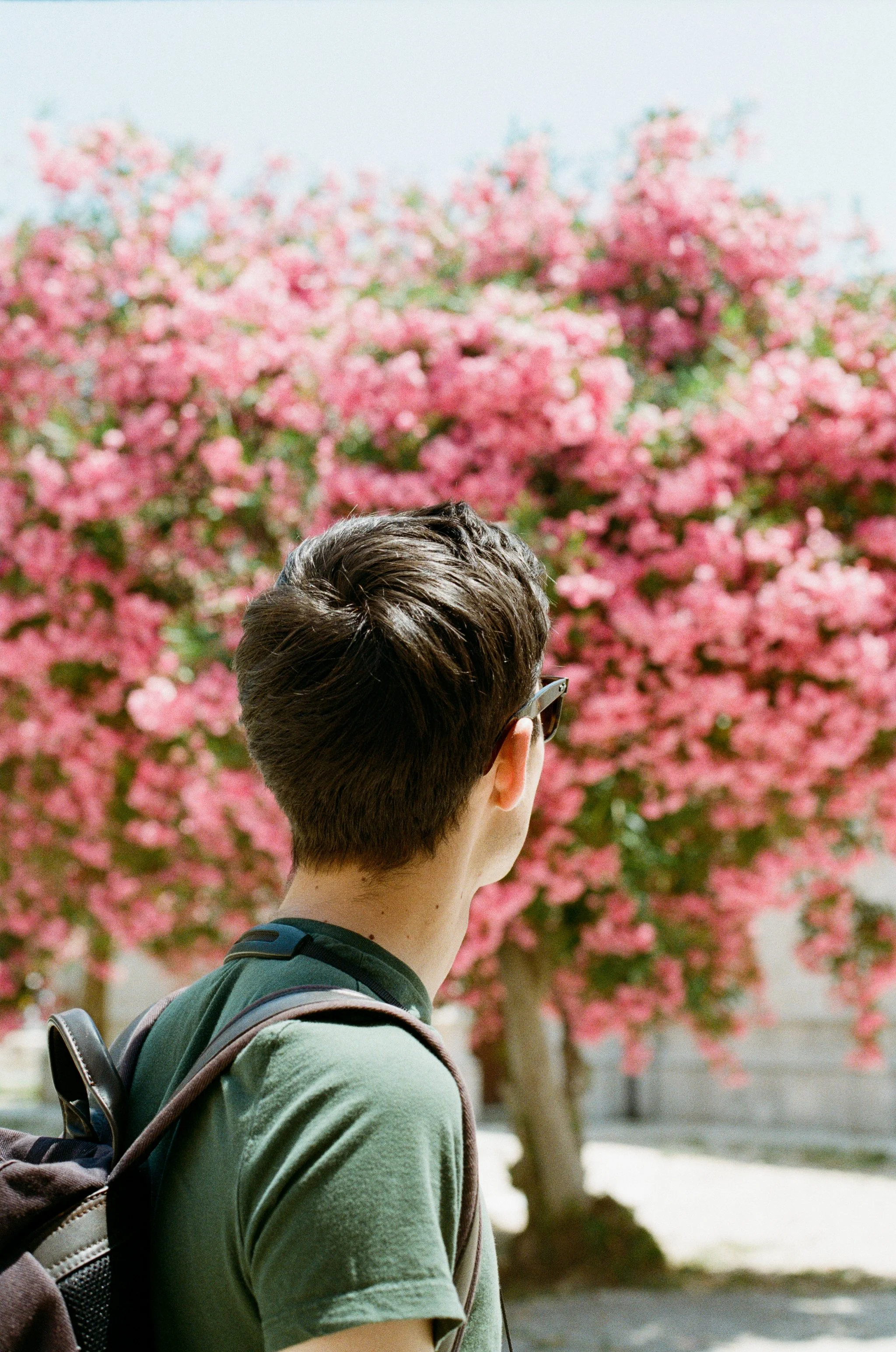 A person with short dark hair and glasses wearing a green shirt and a backpack, standing outdoors in front of pink flowering trees.