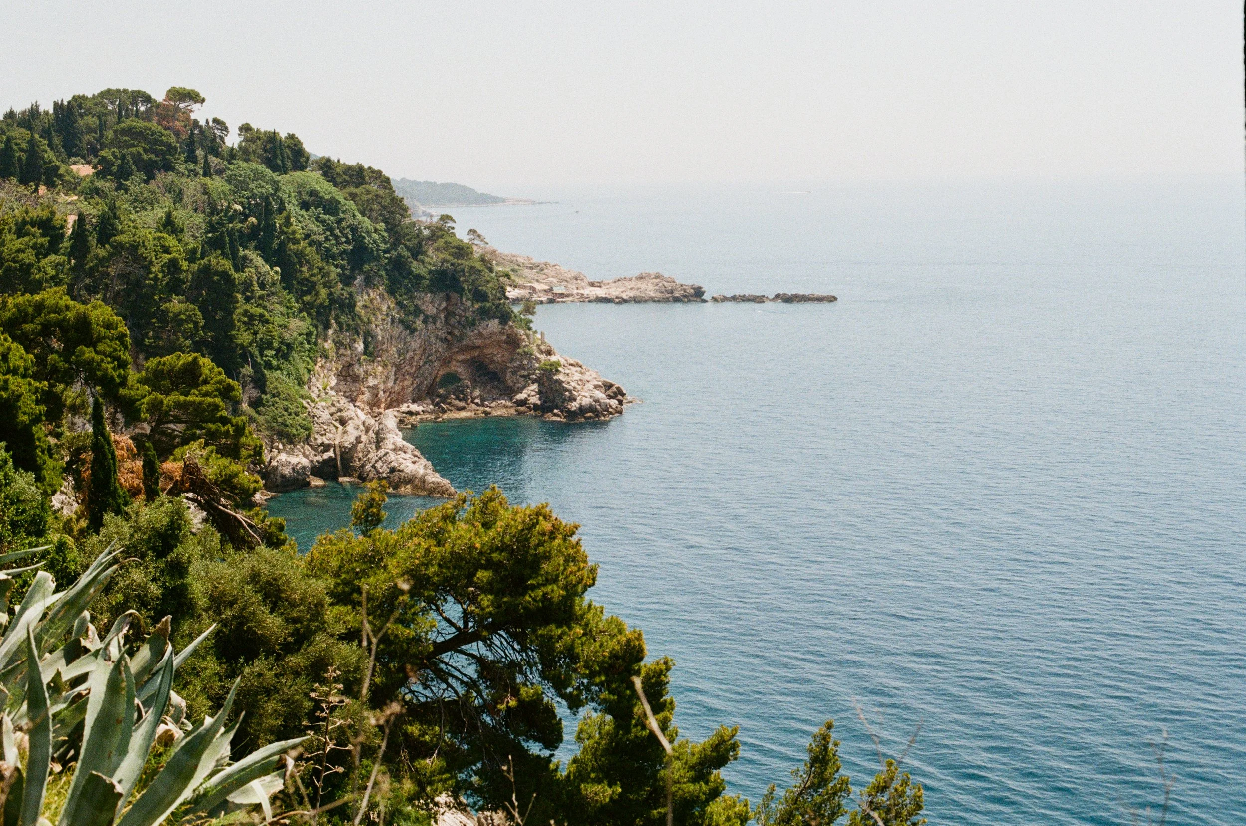Coastal scene with lush green trees on cliffs overlooking the ocean on a clear day.