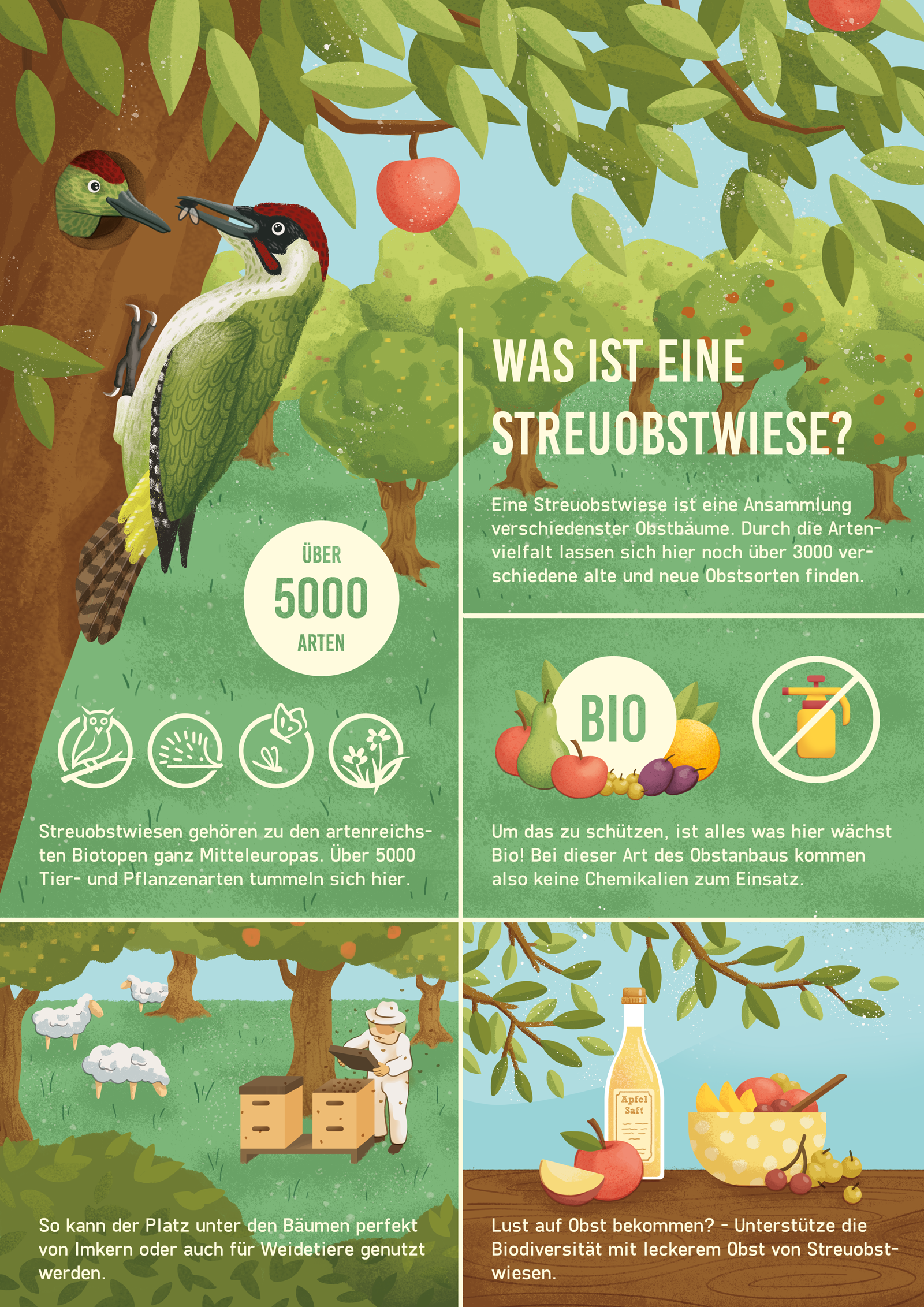 Infographic_Streuobstwiese2.png