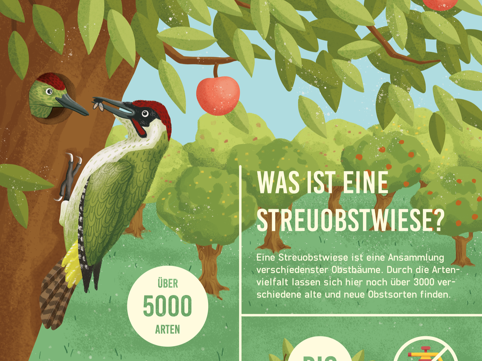 Infografik Streuobstwiese