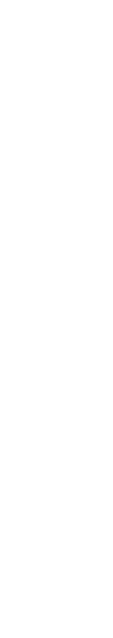 A tall, narrow glass of beer with a foamy head on top.