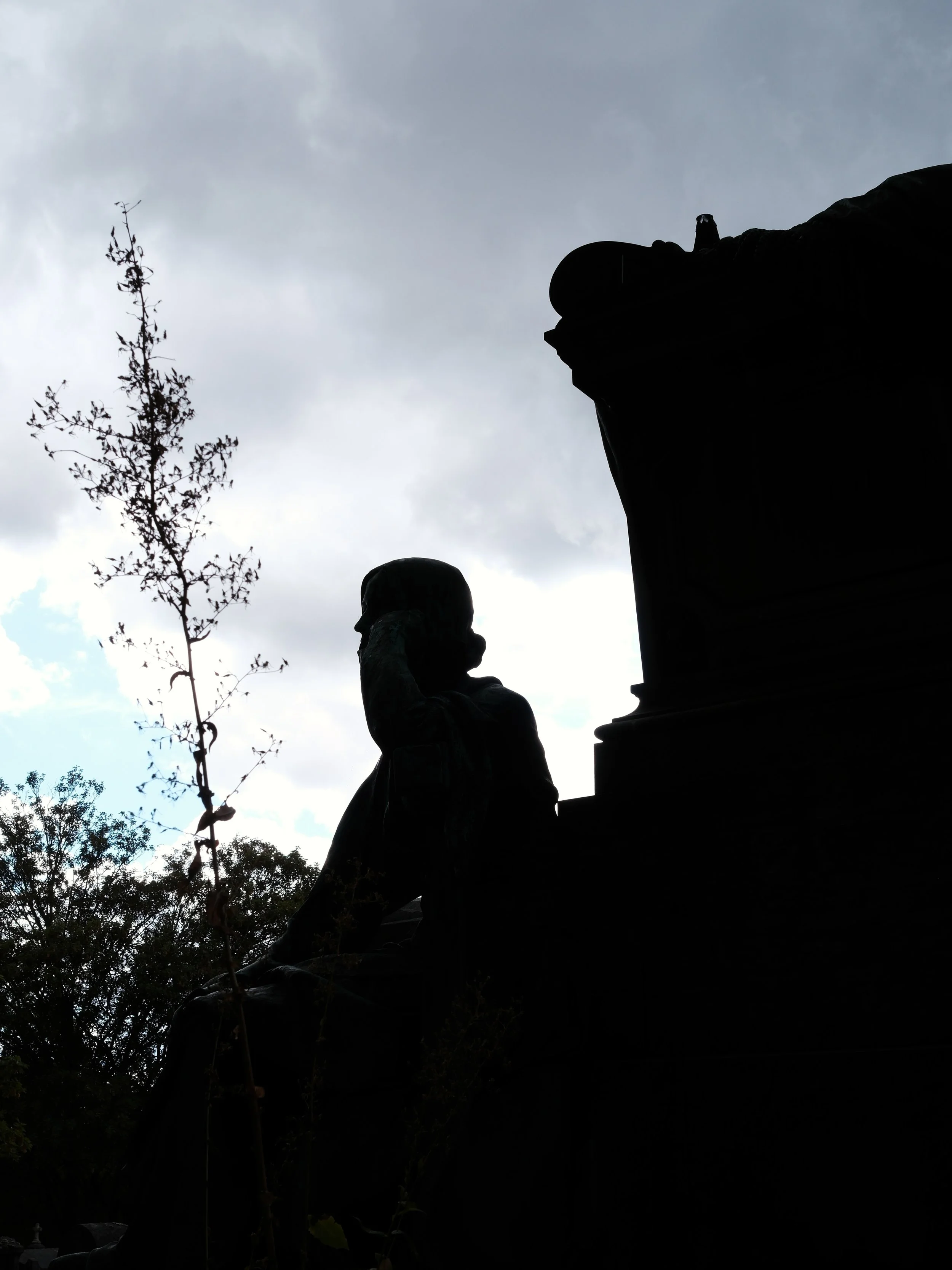 DSCF0695.JPG
