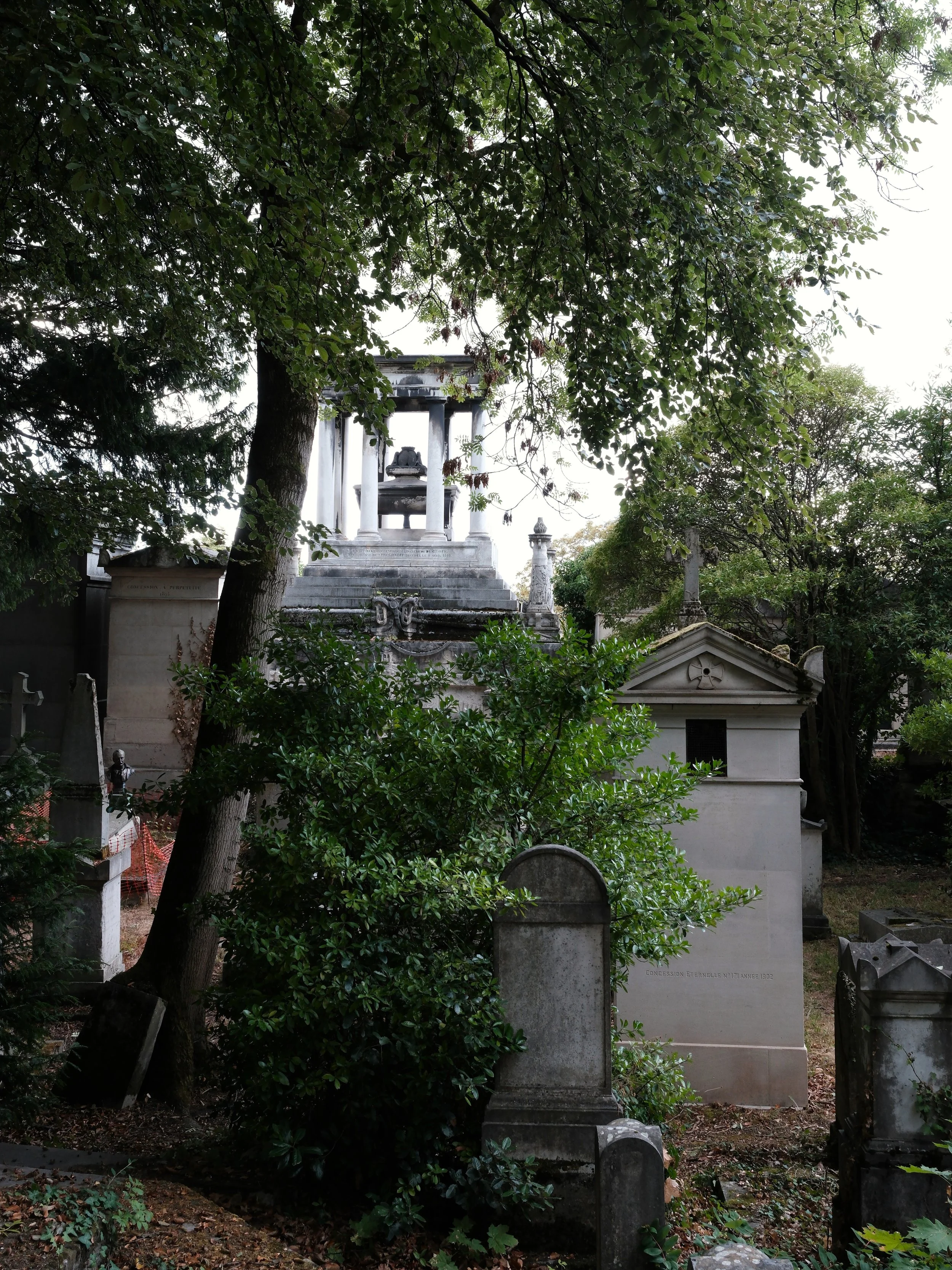 DSCF0953.JPG