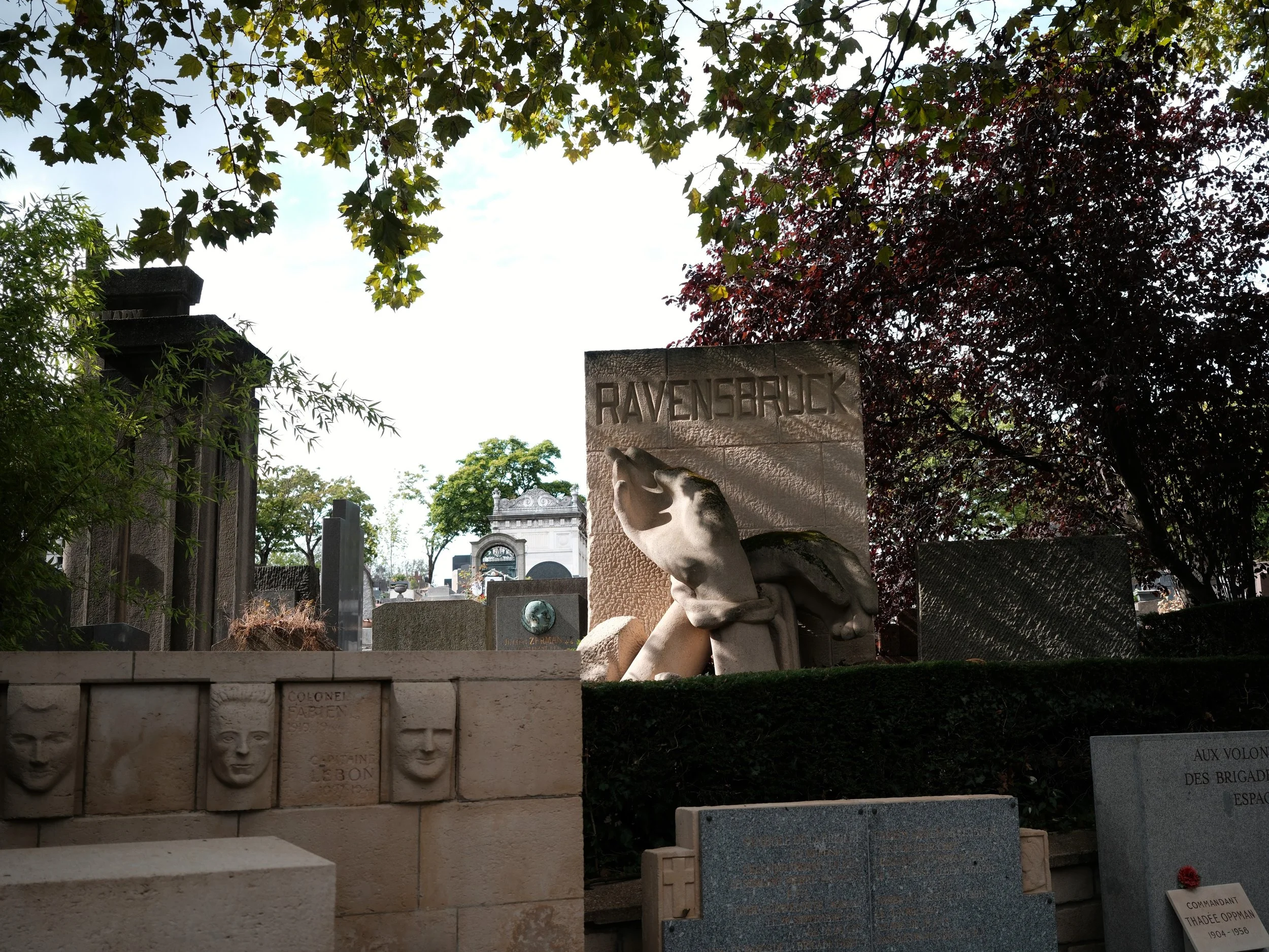 DSCF1031.JPG