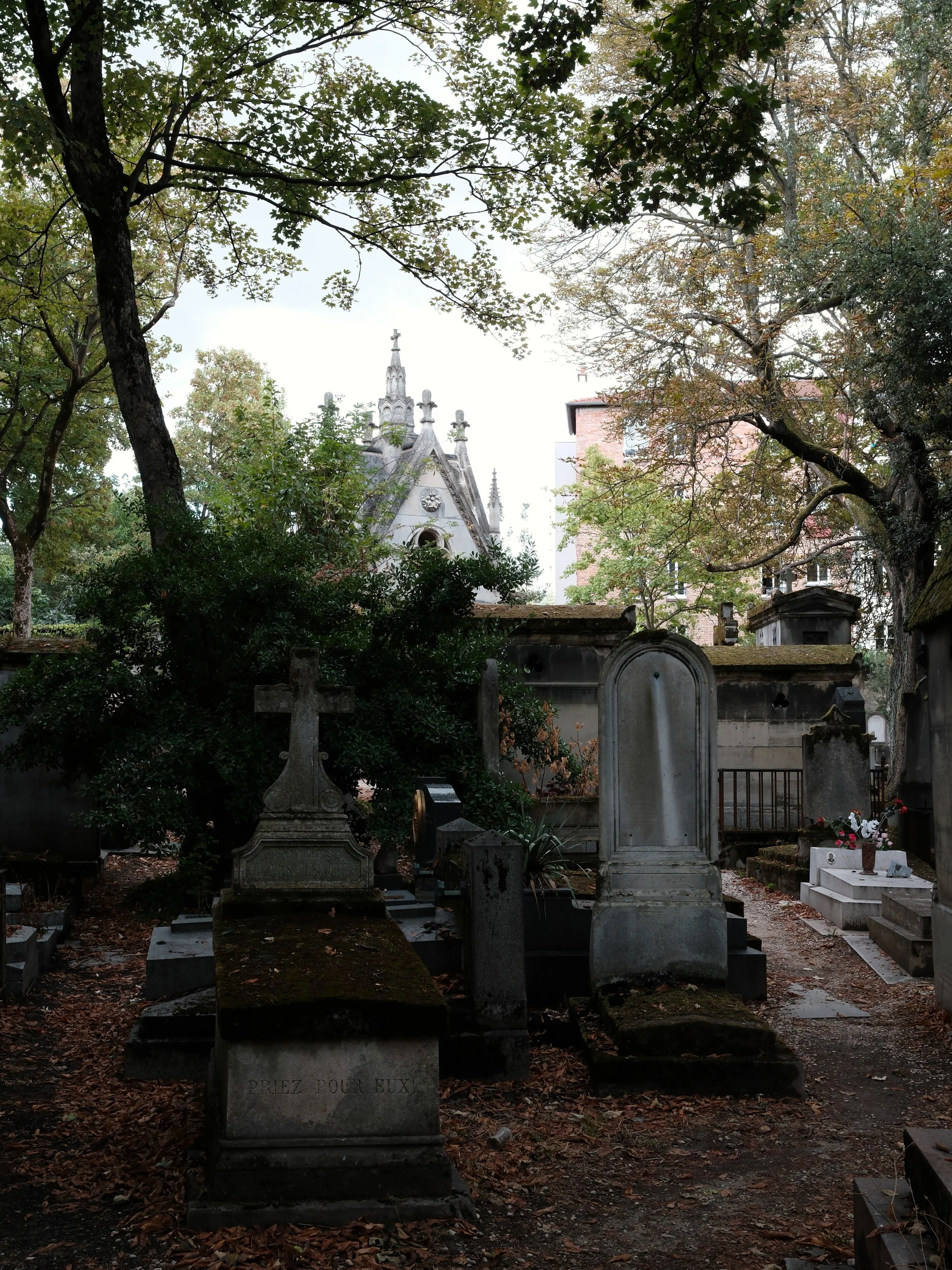 DSCF0845.JPG
