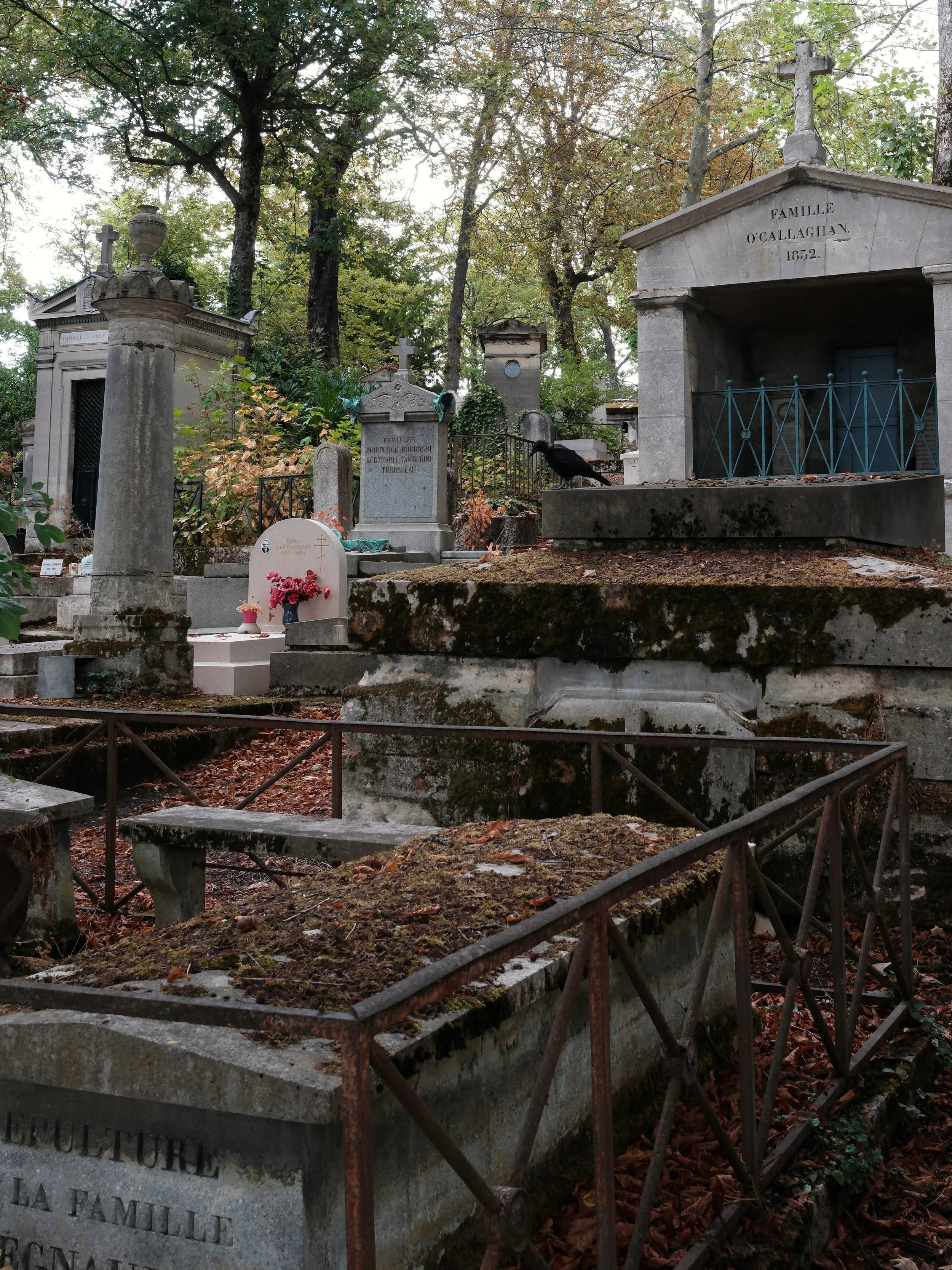 DSCF0992.JPG