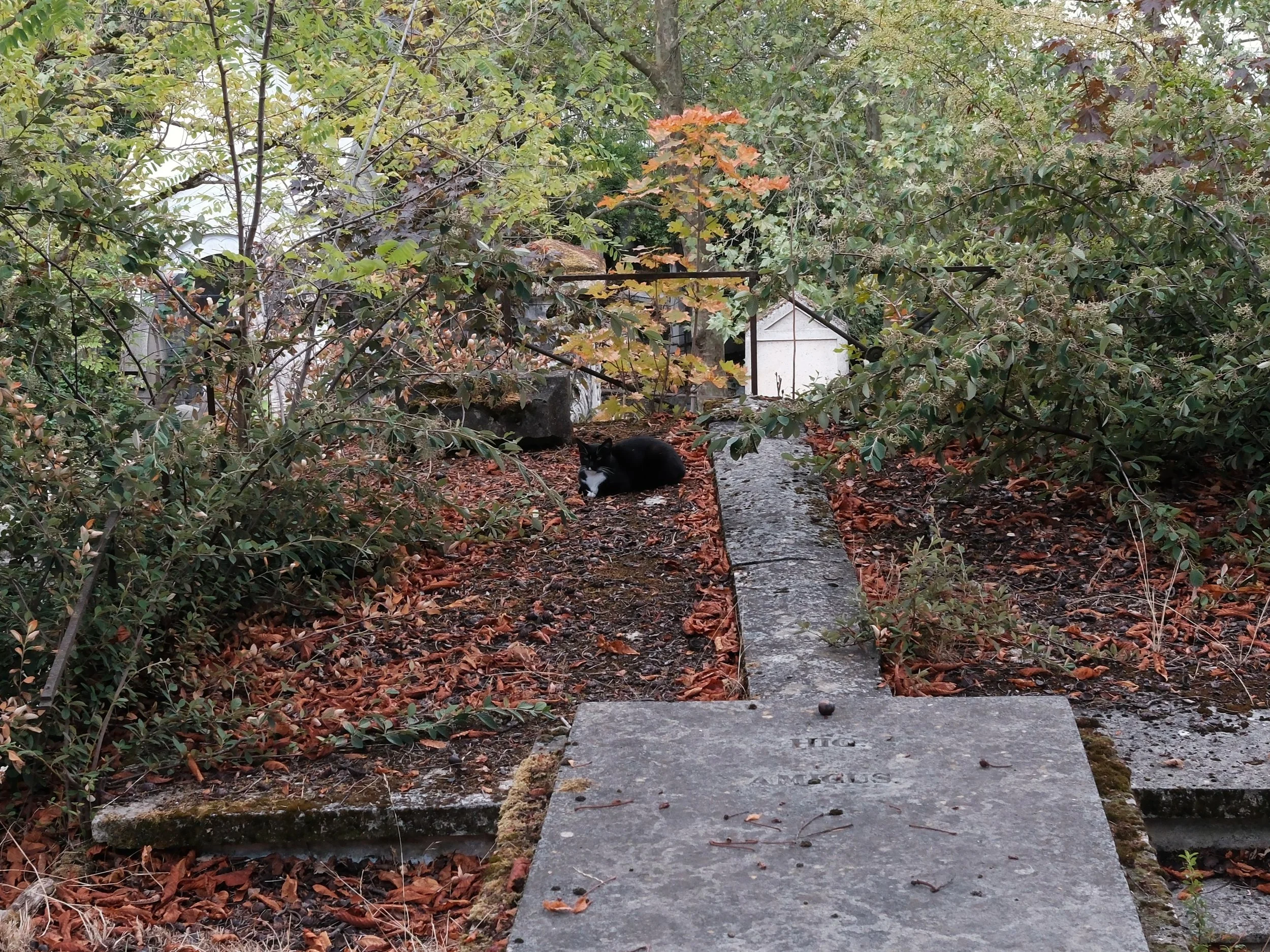 DSCF1001.JPG