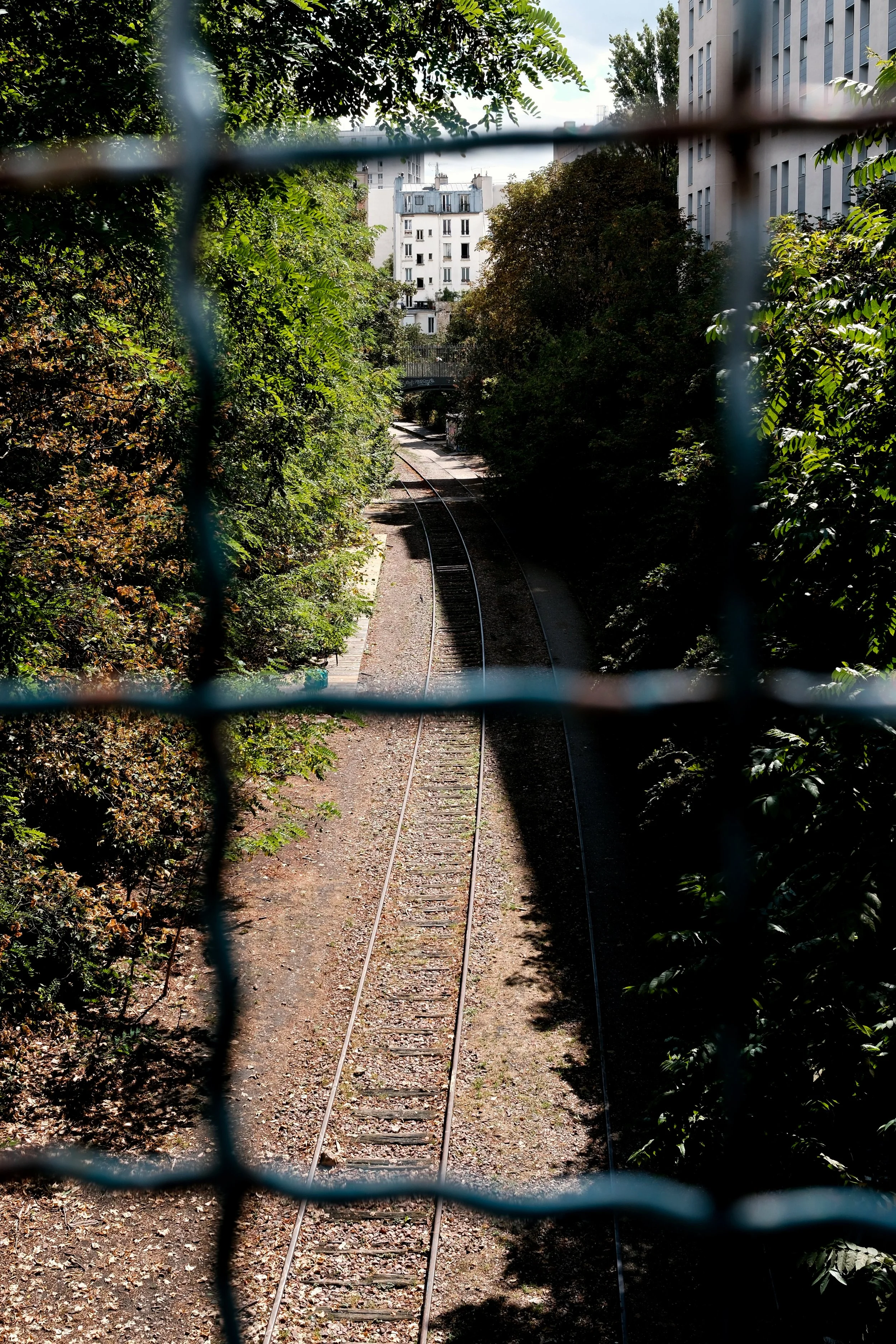 Untitled-49.jpg