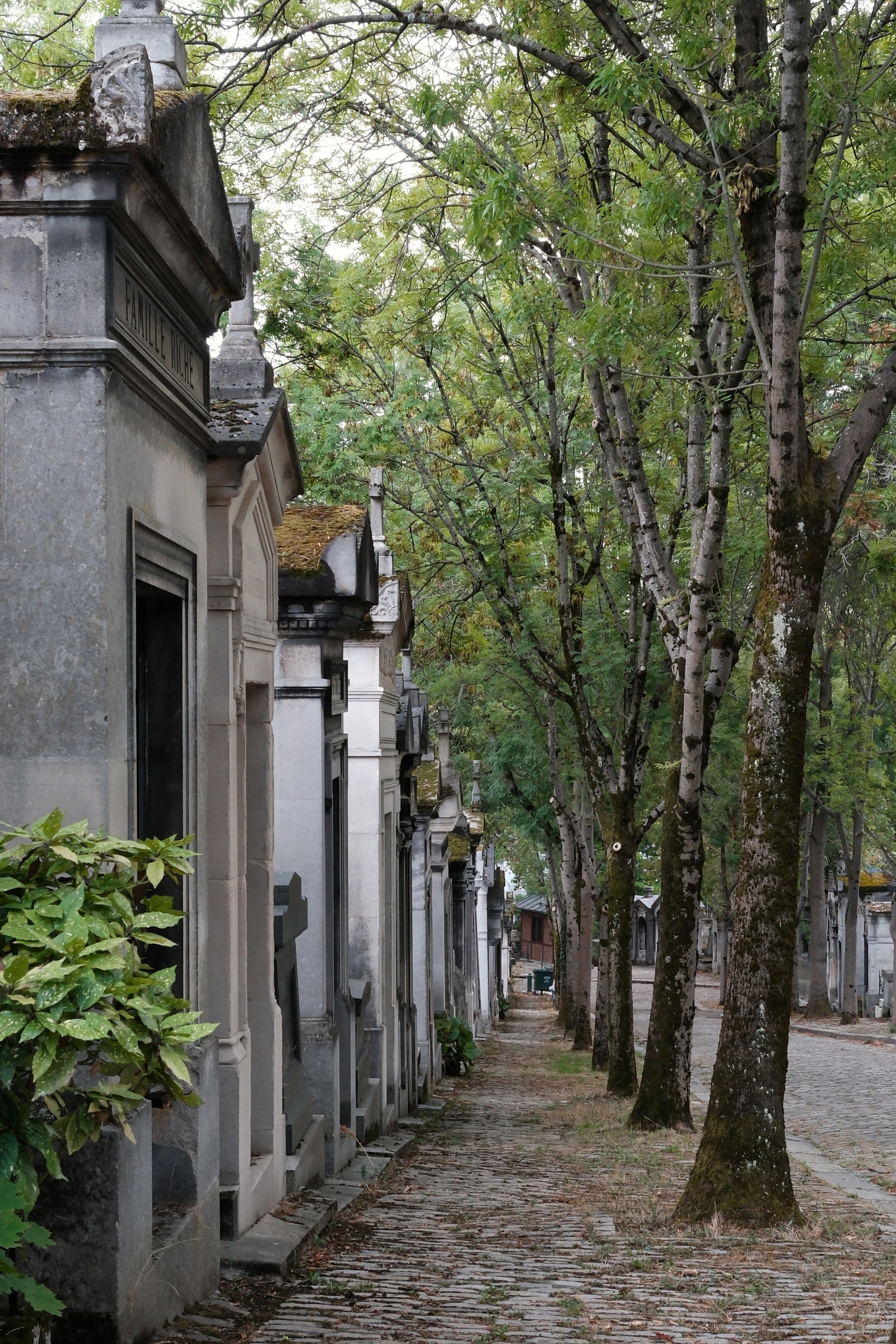 DSCF1013.JPG
