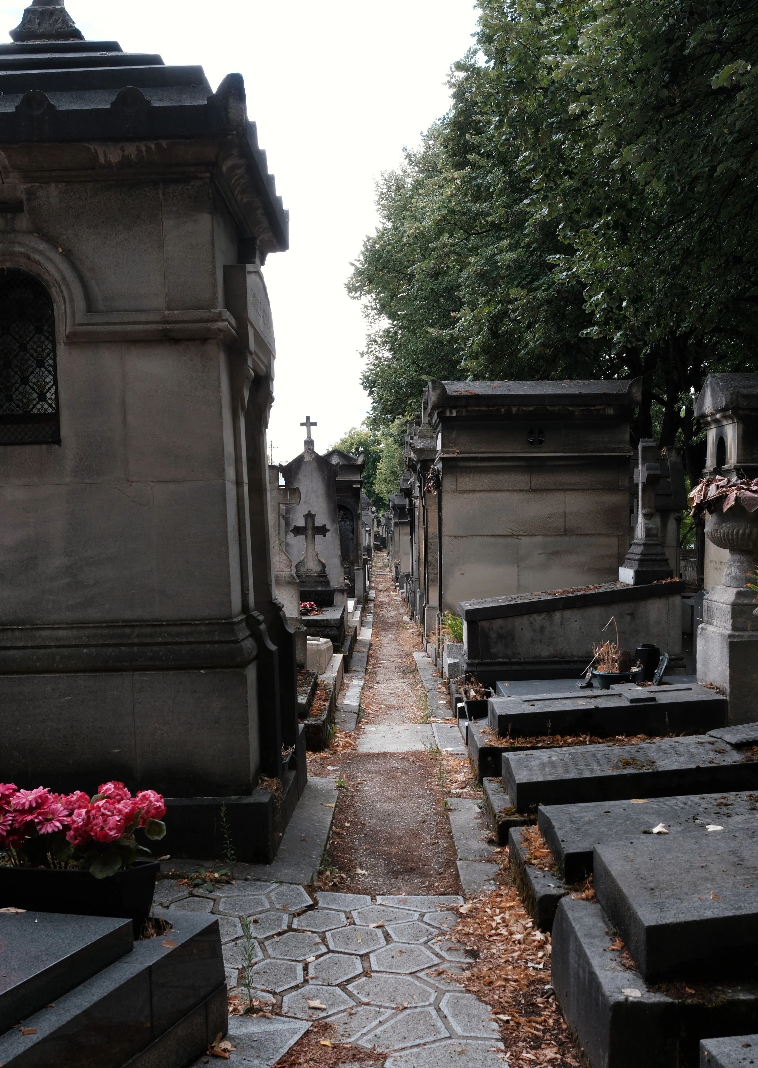 DSCF0662.JPG