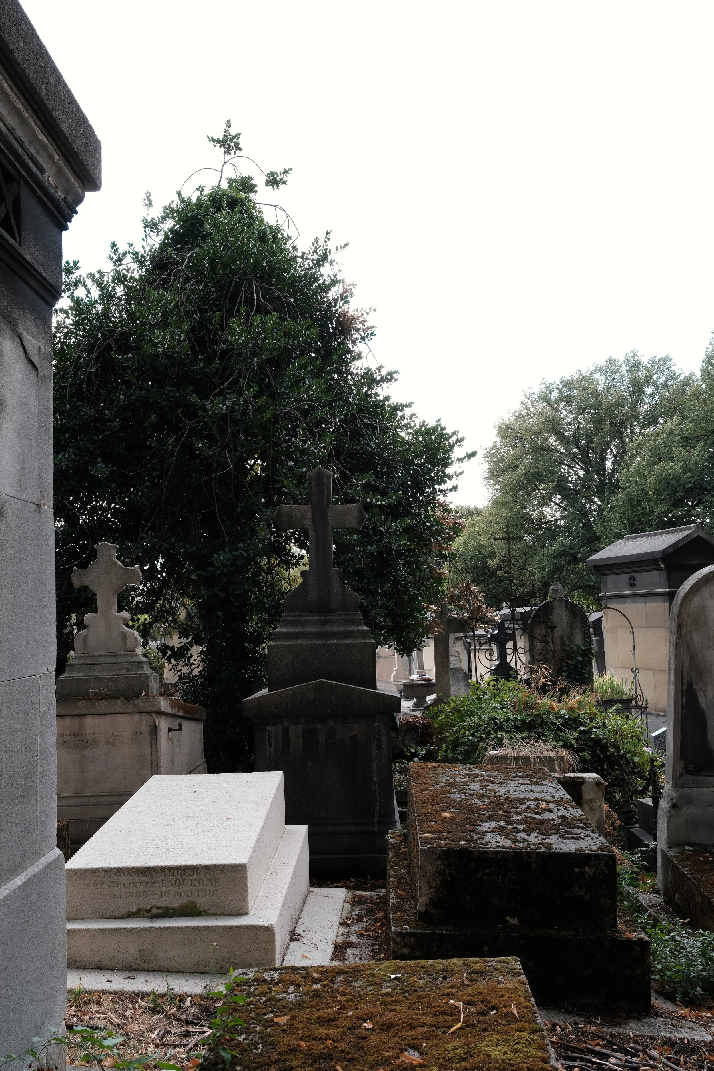 DSCF0677.JPG