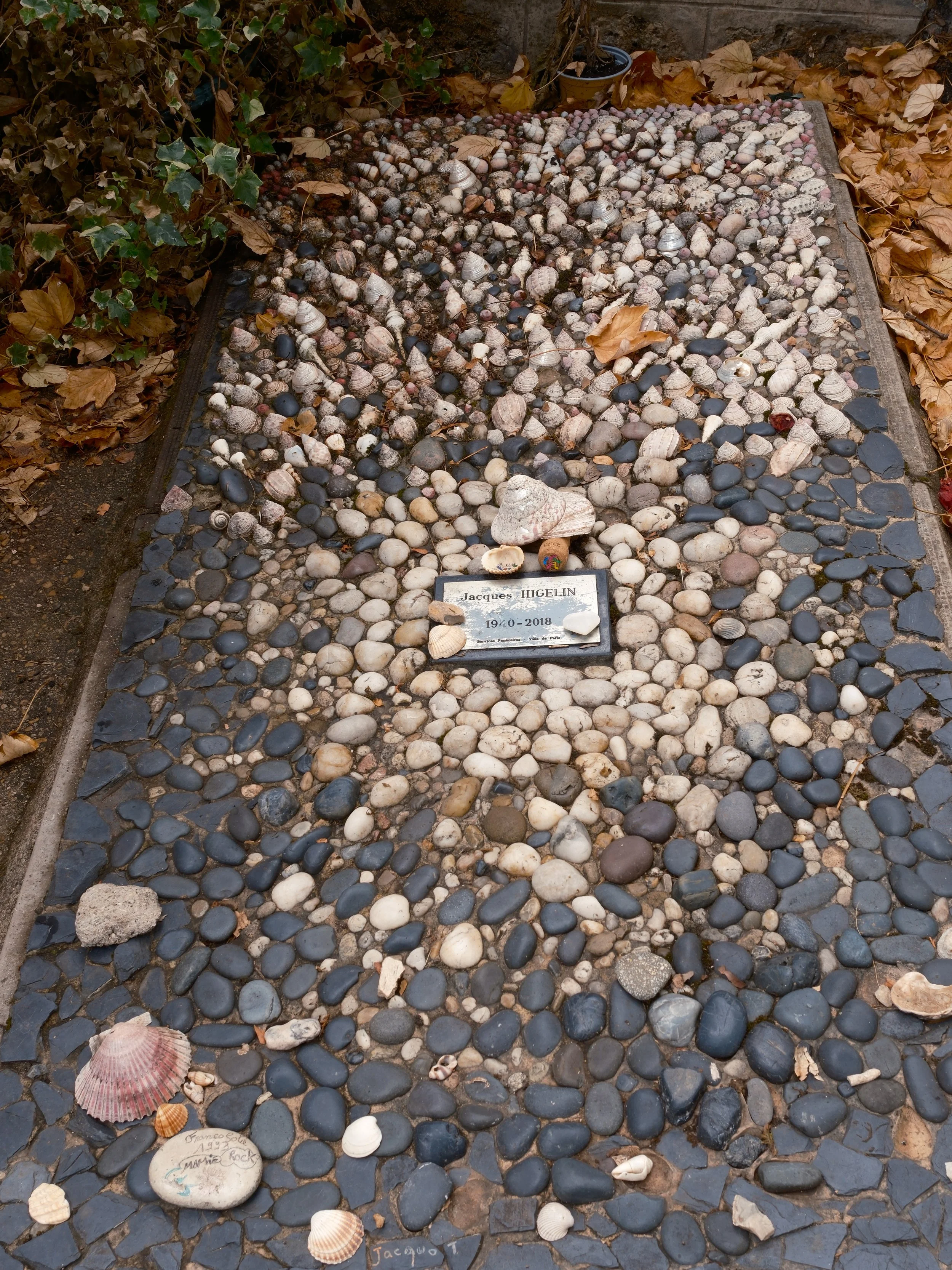 DSCF0795.JPG