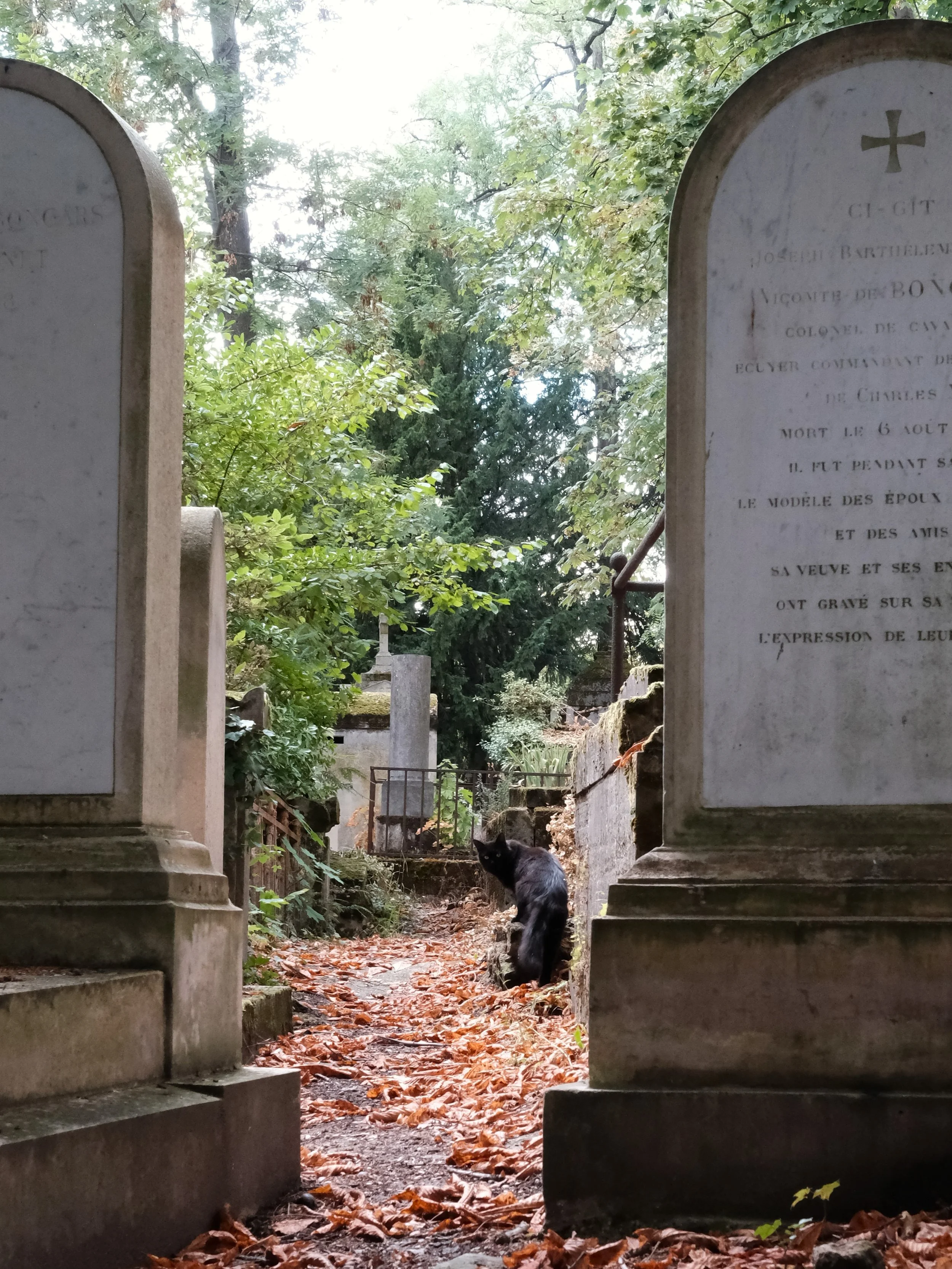 DSCF0917.JPG