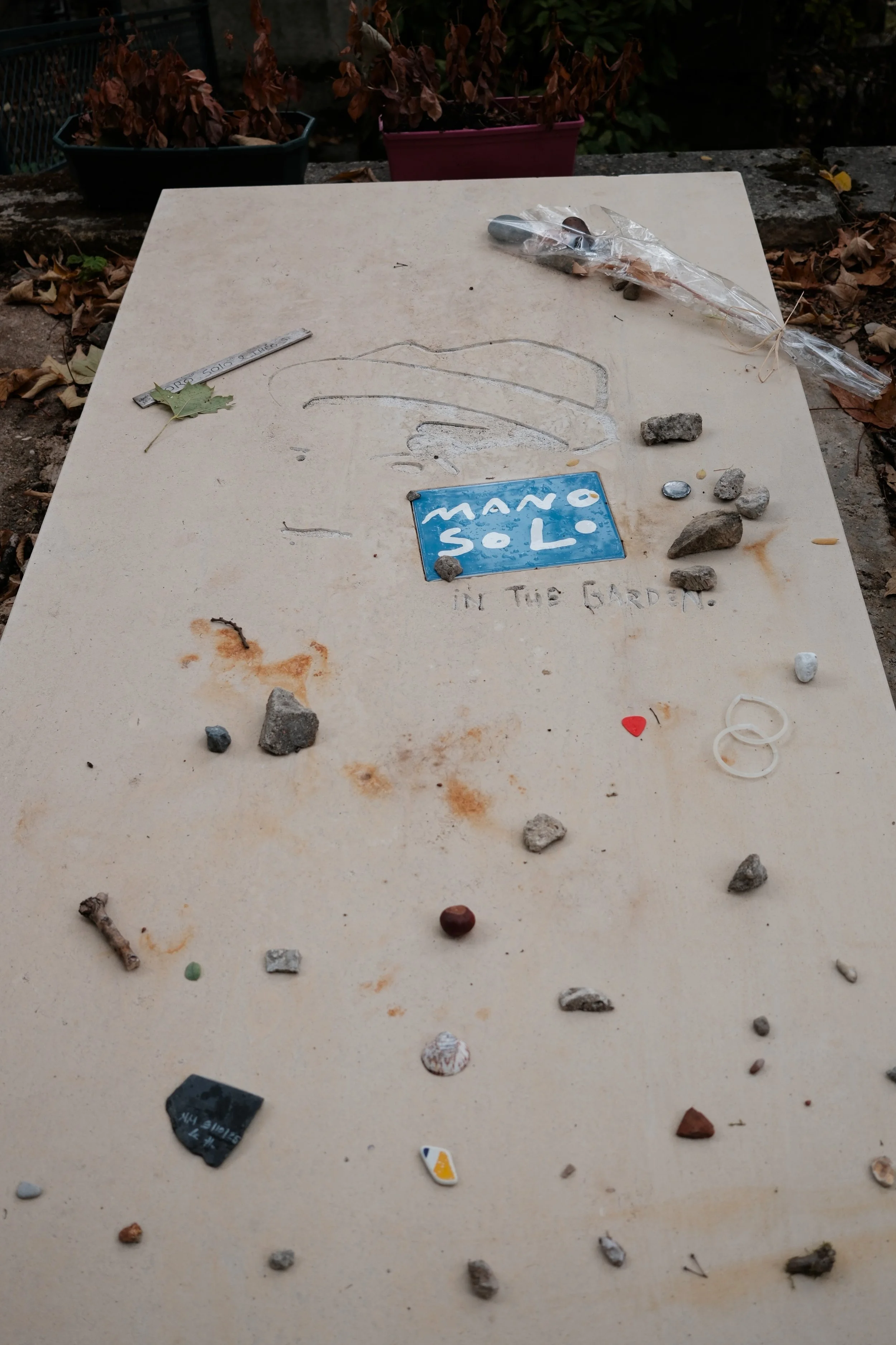 DSCF0743.JPG