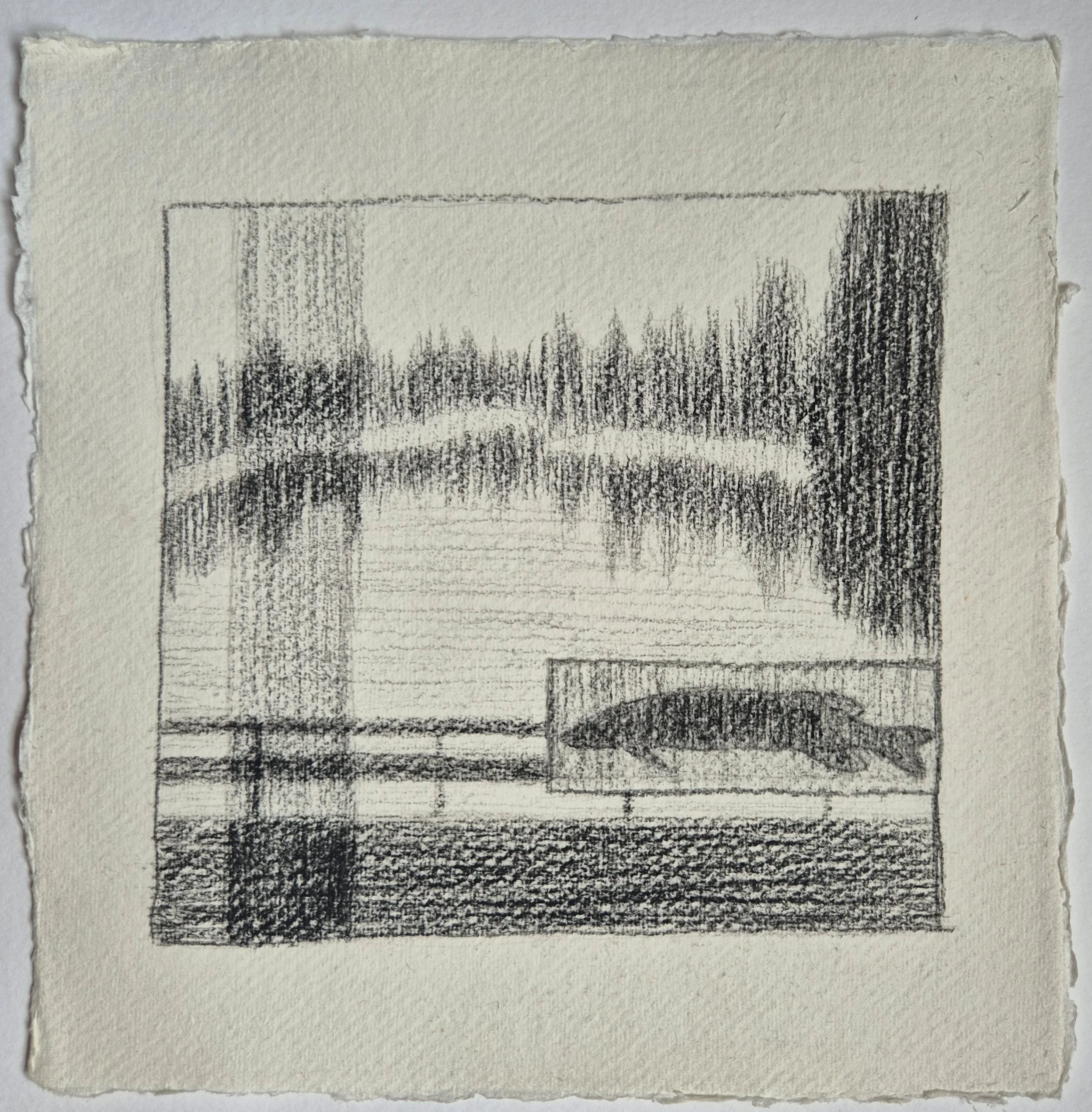 20 x 20 cm // dry pastel, coal & graphite on cotton
