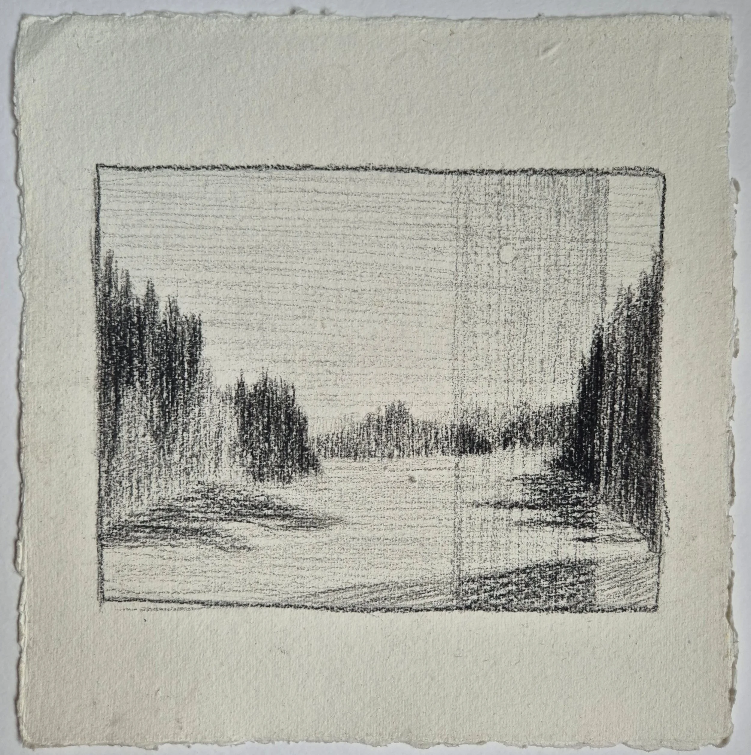 20 x 20 cm // dry pastel, coal & graphite on cotton