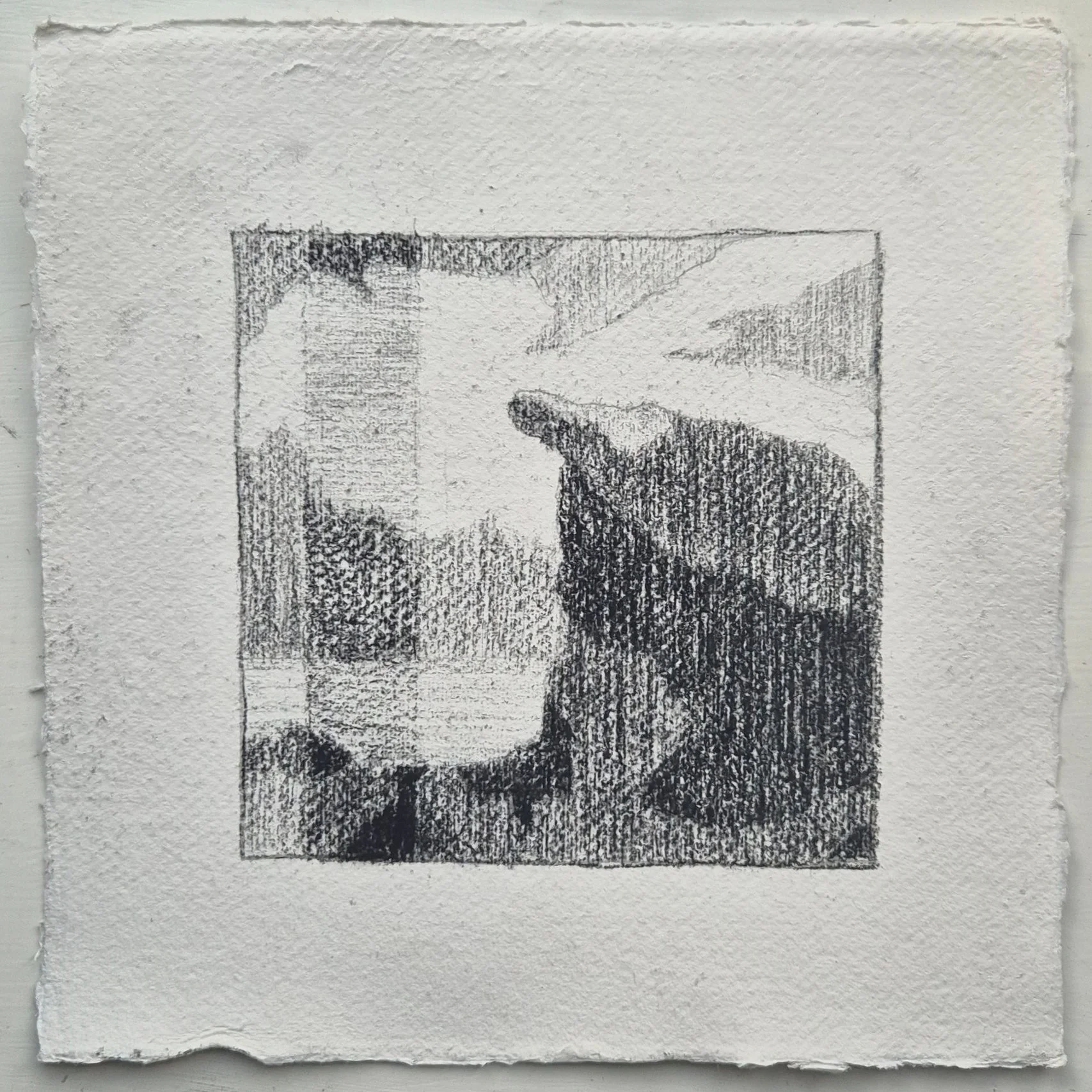 20 x 20 cm // dry pastel, coal & graphite on cotton