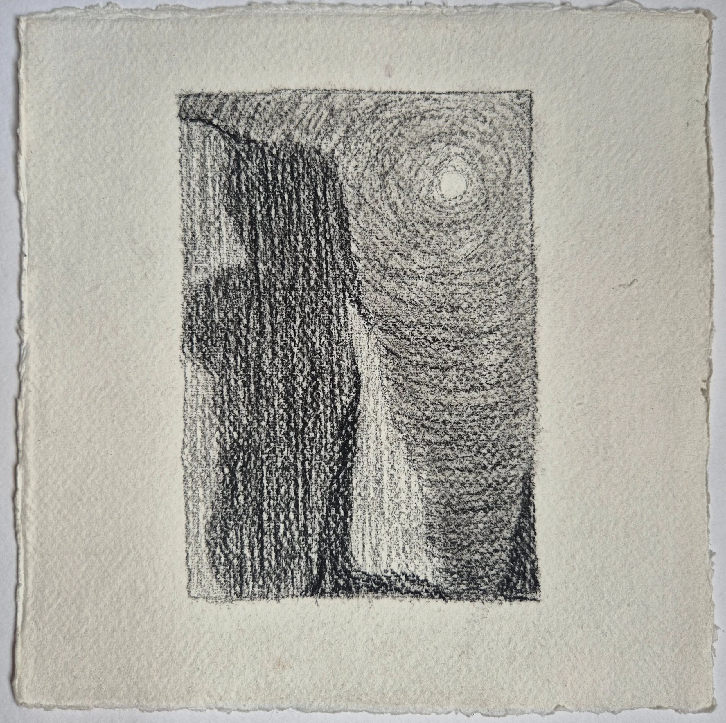 20 x 20 cm // dry pastel, coal & graphite on cotton