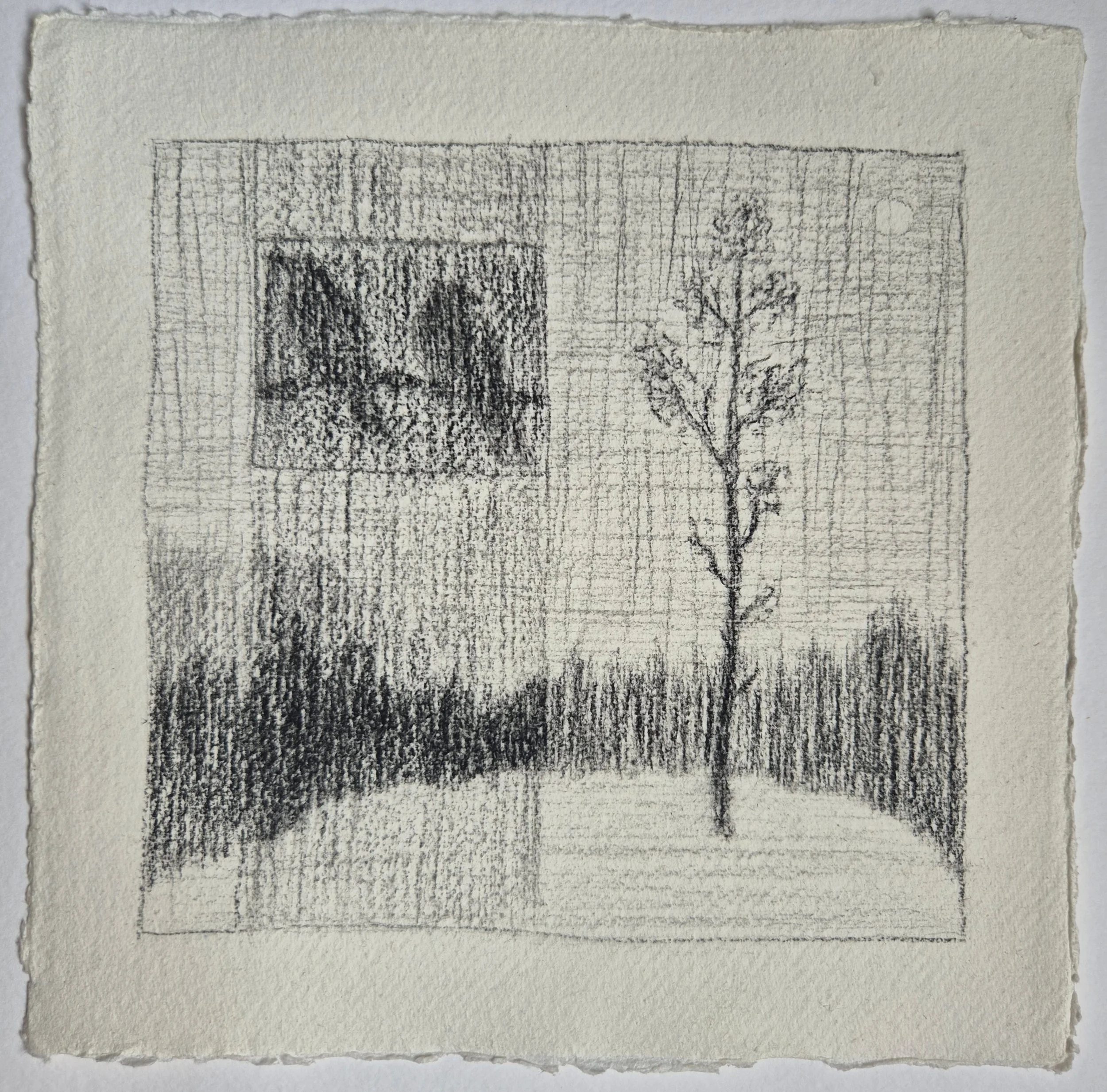 20 x 20 cm // dry pastel, coal & graphite on cotton