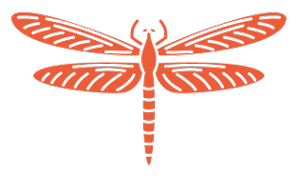 Haven dragonfly