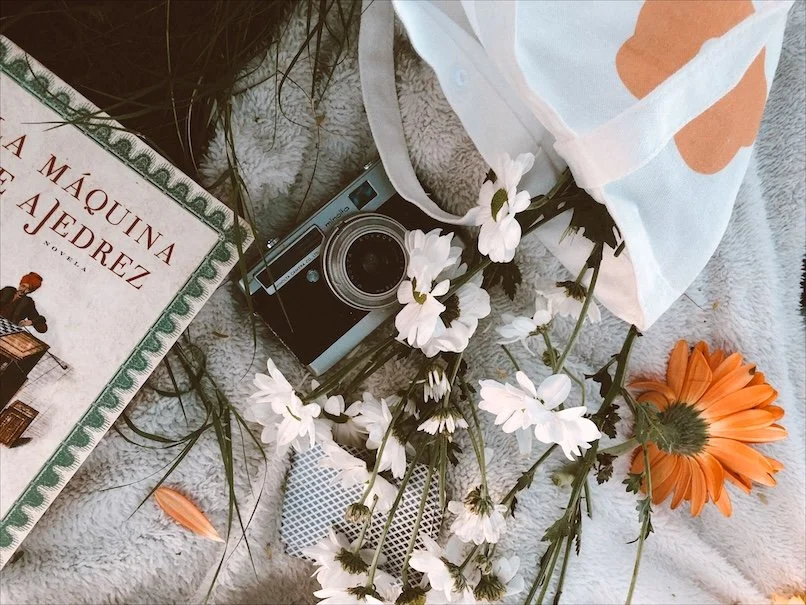 Book, vintage camera and flowers arranged outdoors.
