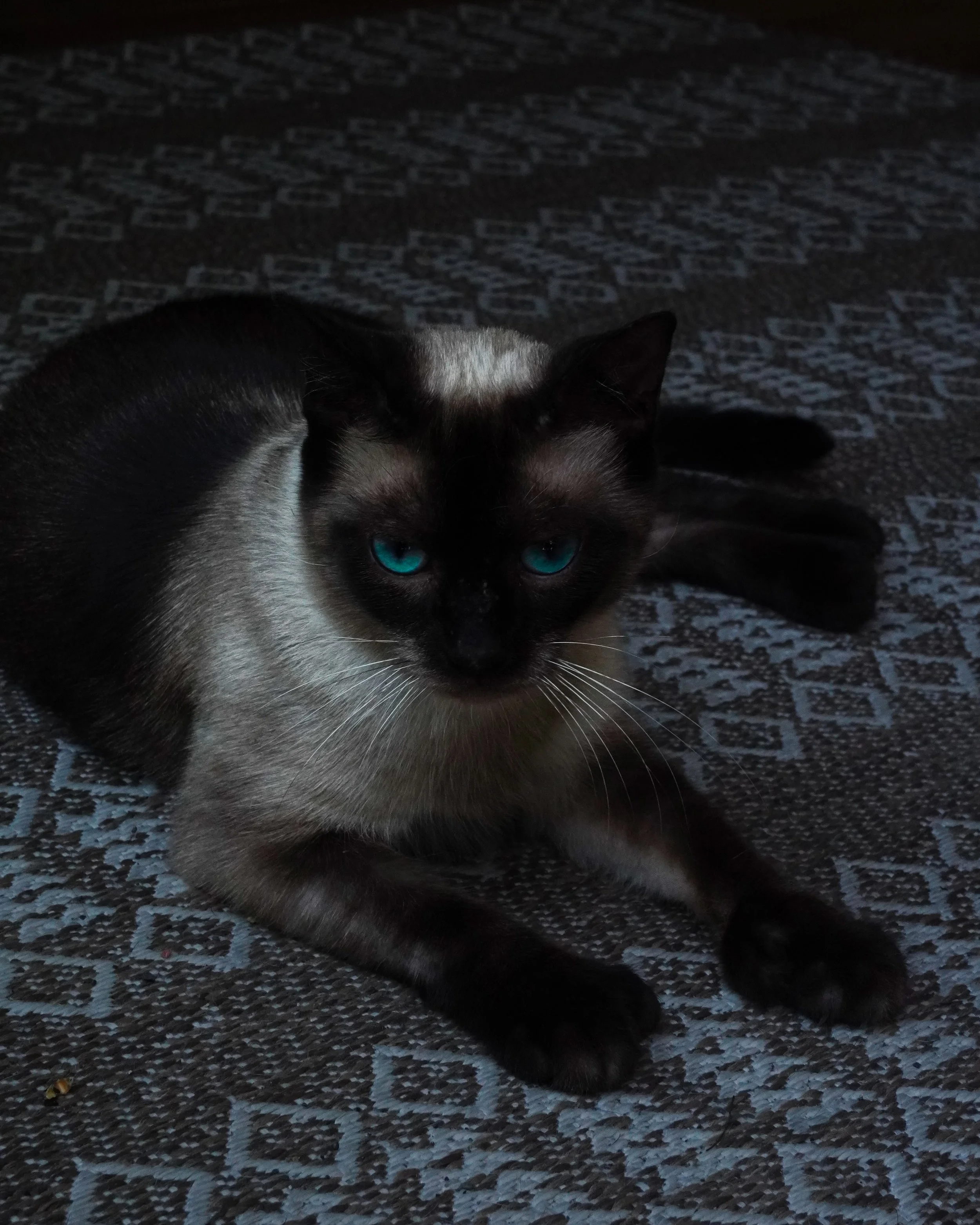 DSC01911 2.JPG