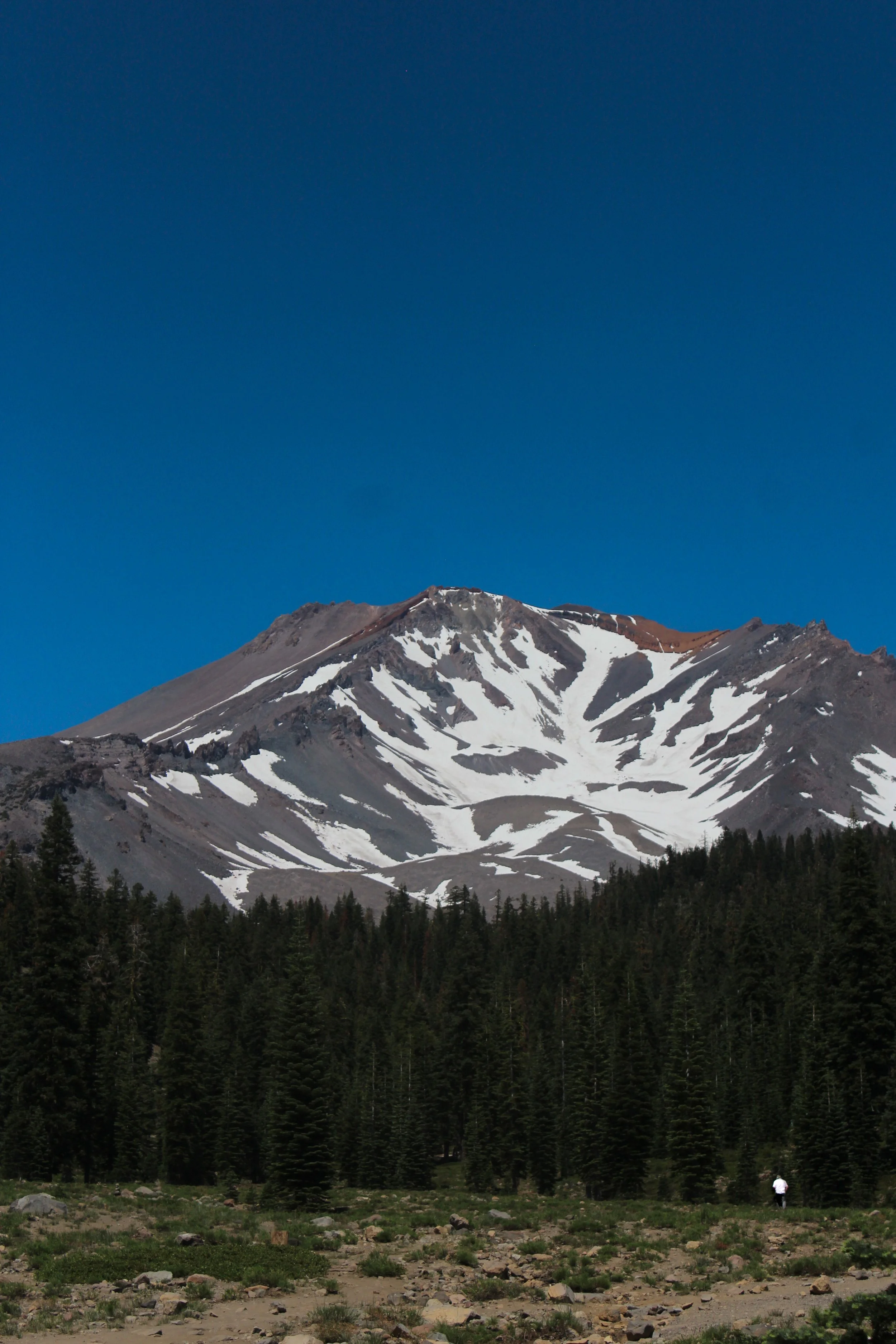 IMG_9786 3.JPG