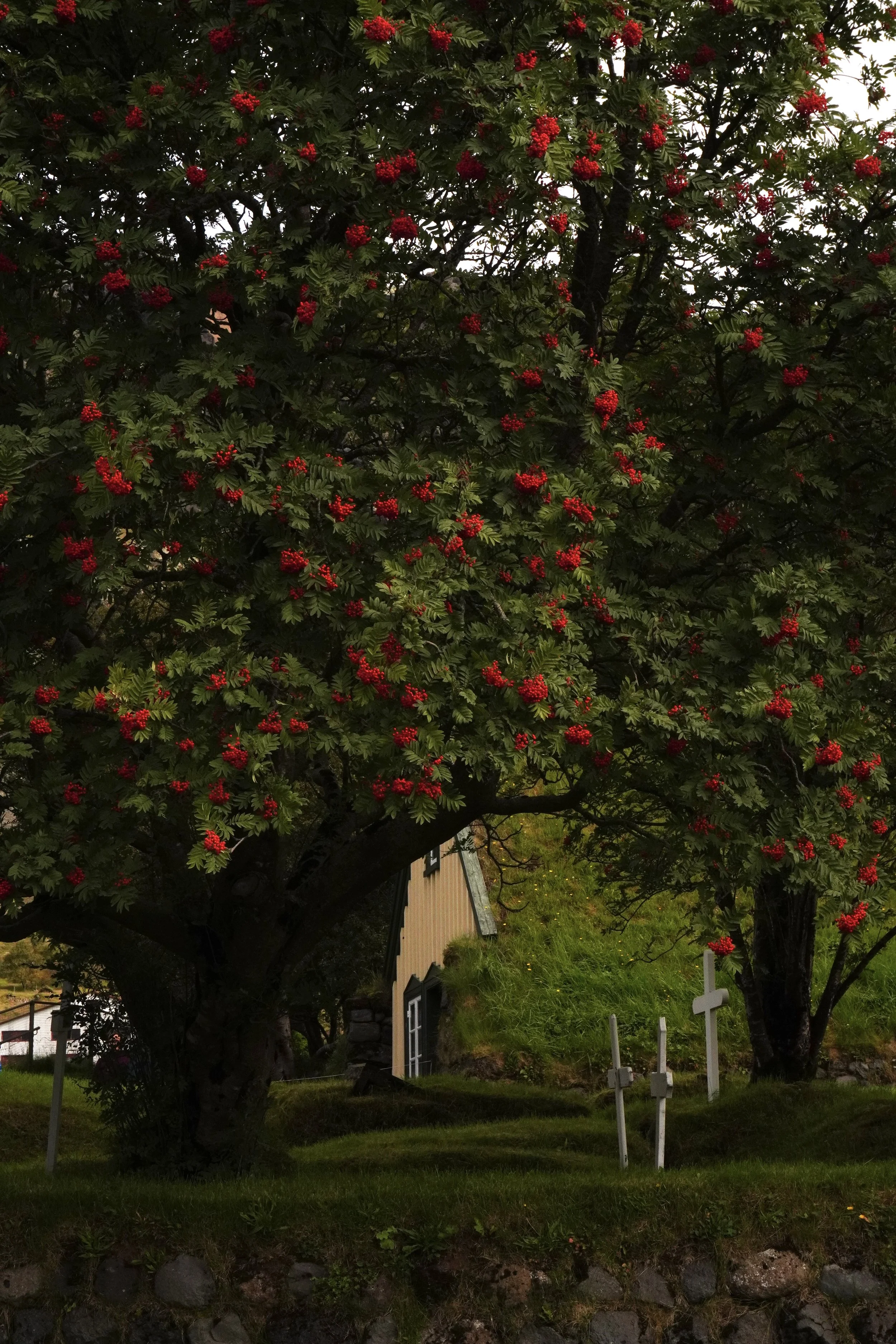 DSC03212 4.jpg