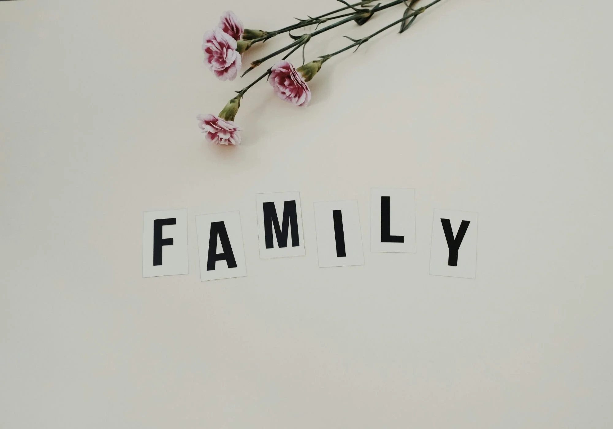 Pink carnations with green stems above letter tiles spelling 'FAMILY' on a white background.