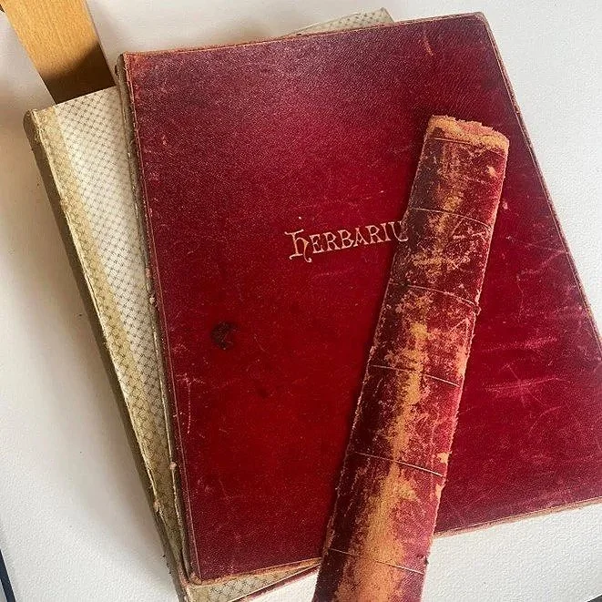 Three old books with worn covers, one red titled "Herbarium" on top, one beige, and a third partially covered, topped with a rolled-up, distressed, and weathered scroll-like object.