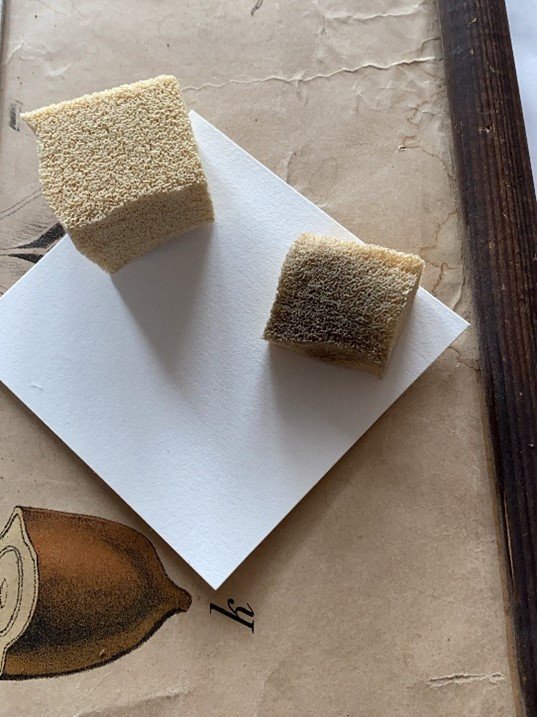Two kitchen cleaning sponges, one large and one small, placed on a white square piece of paper on a brown surface.