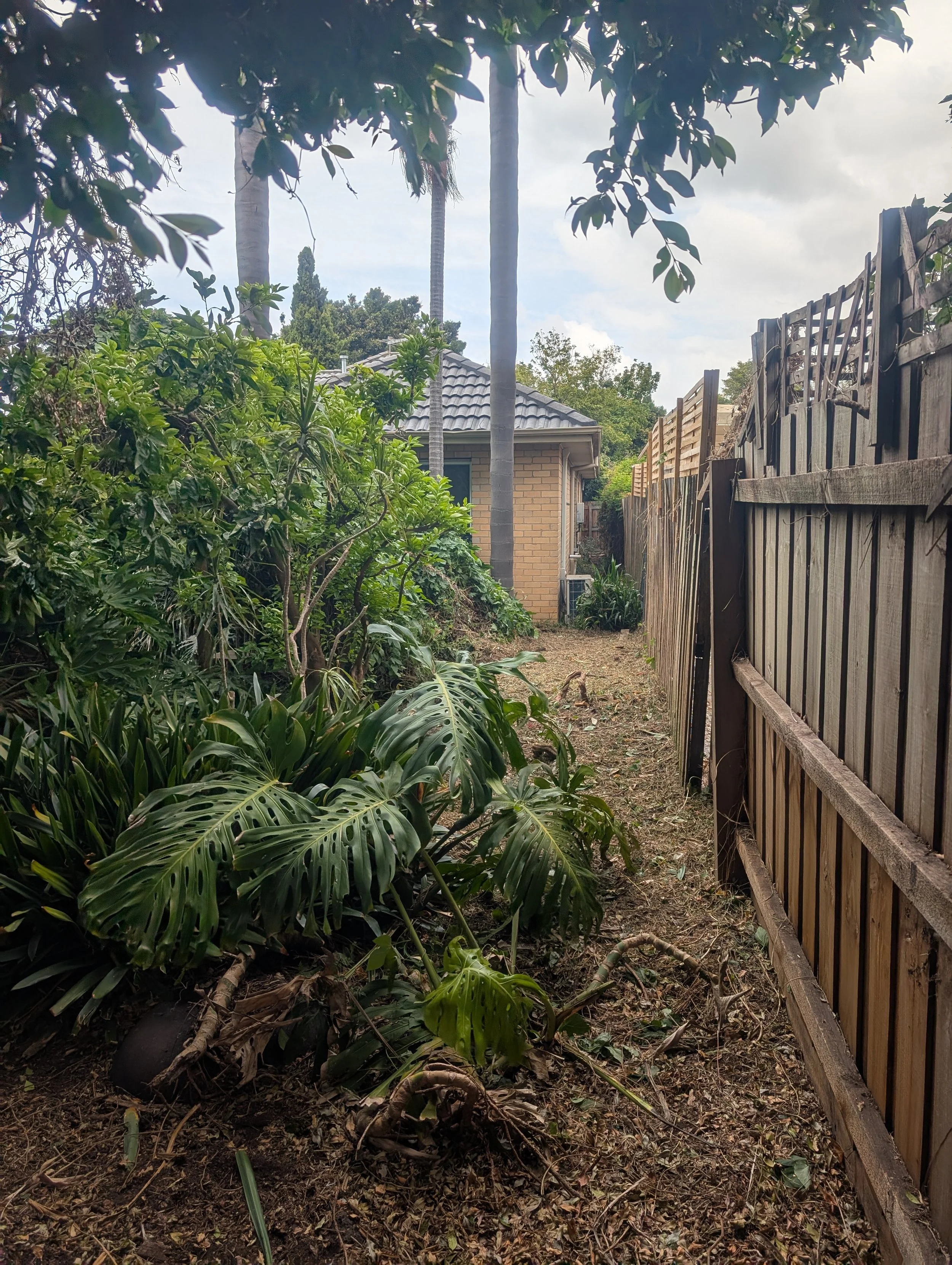 overgrown garden cleanup after