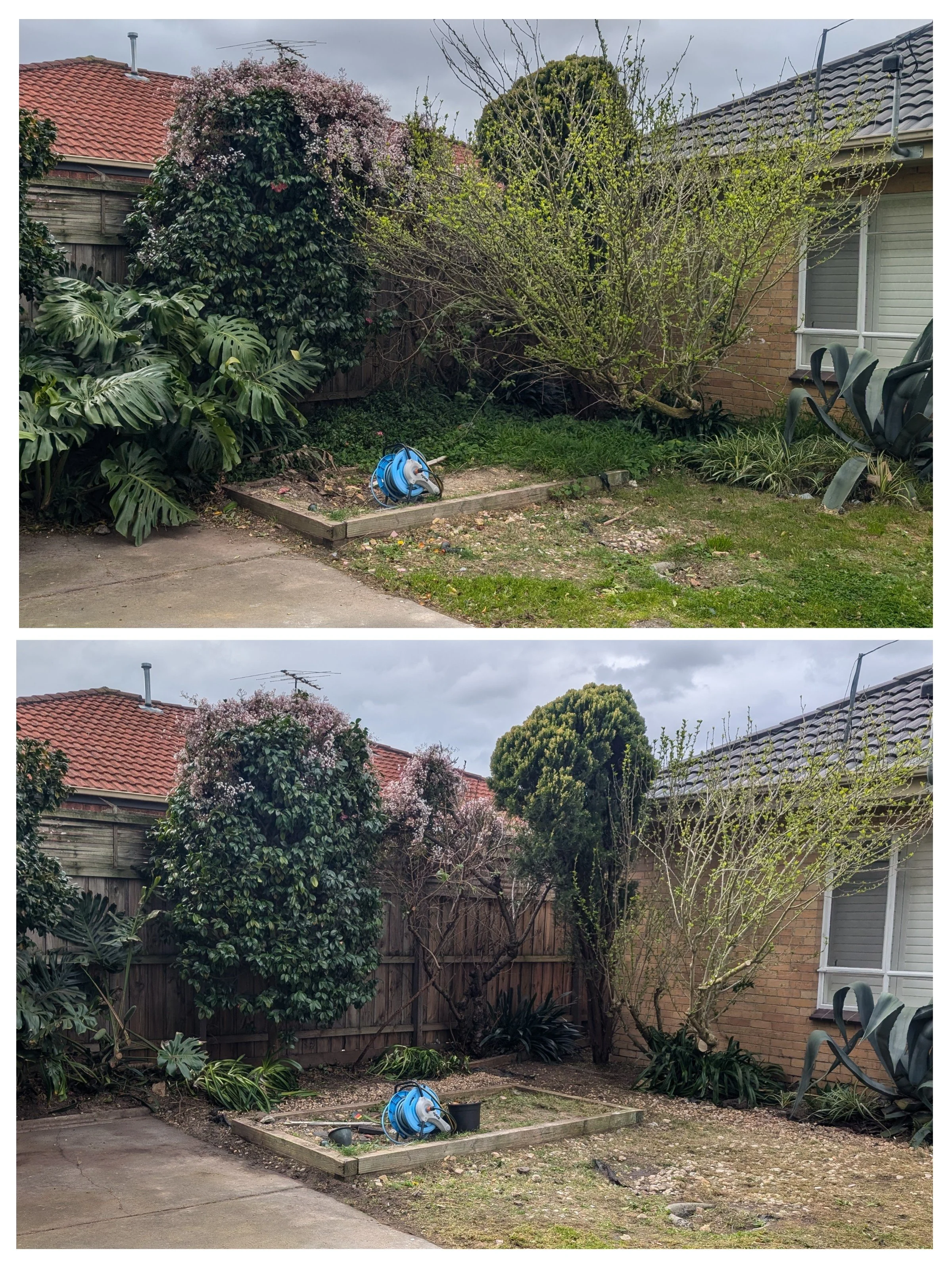 overgrown garden cleanup before and after