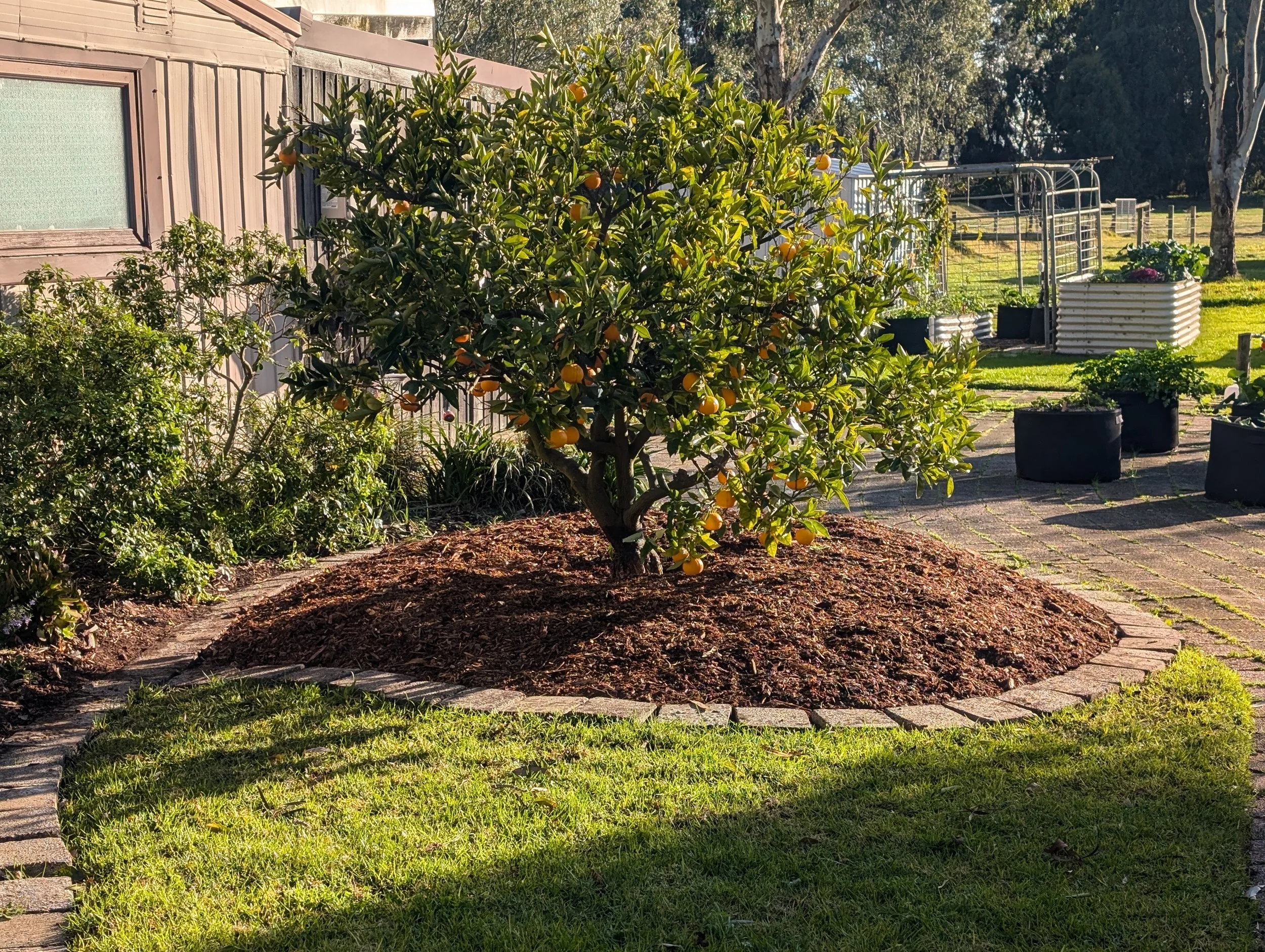 Mulching After