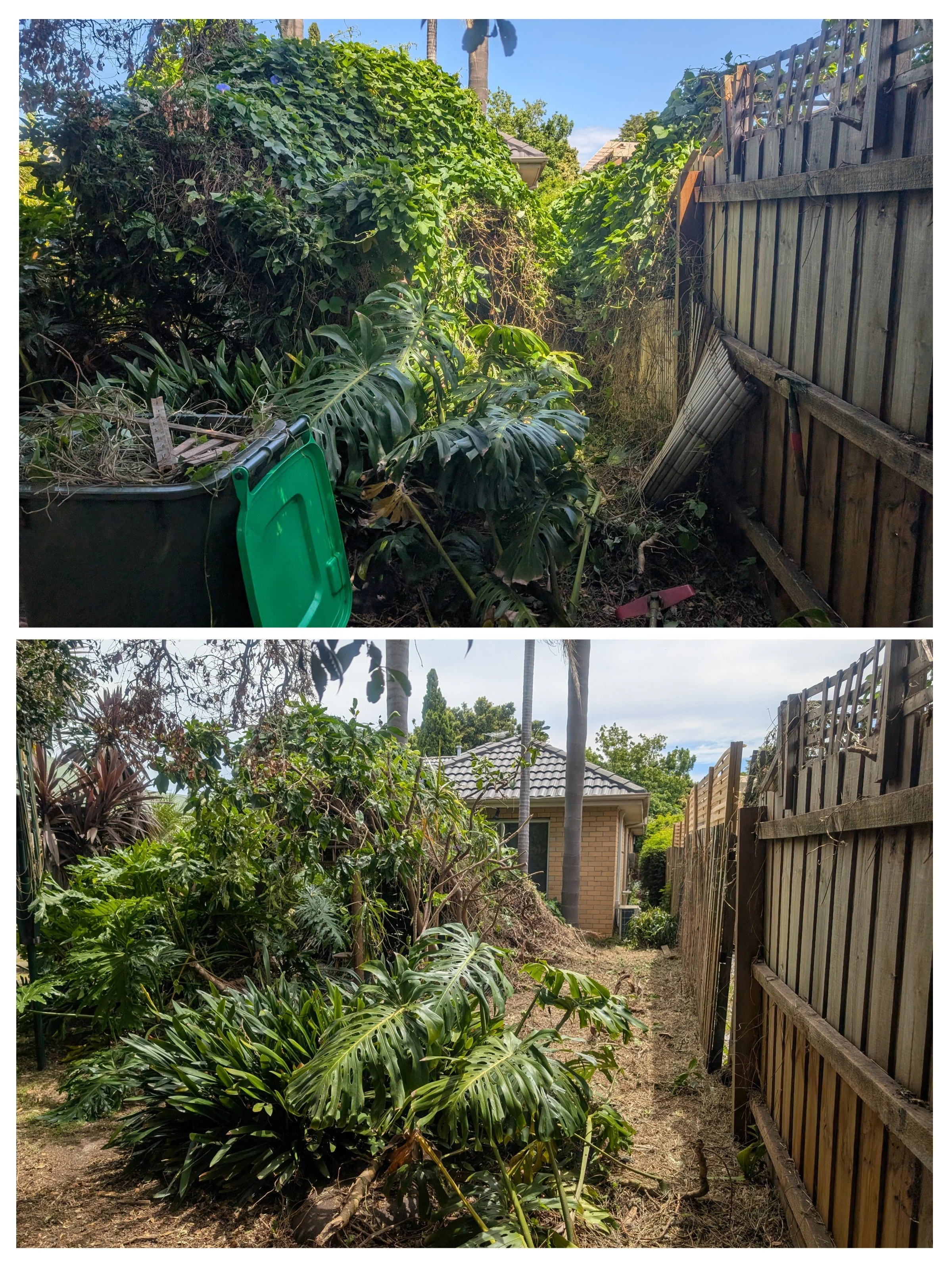 overgrown garden cleanup before and after