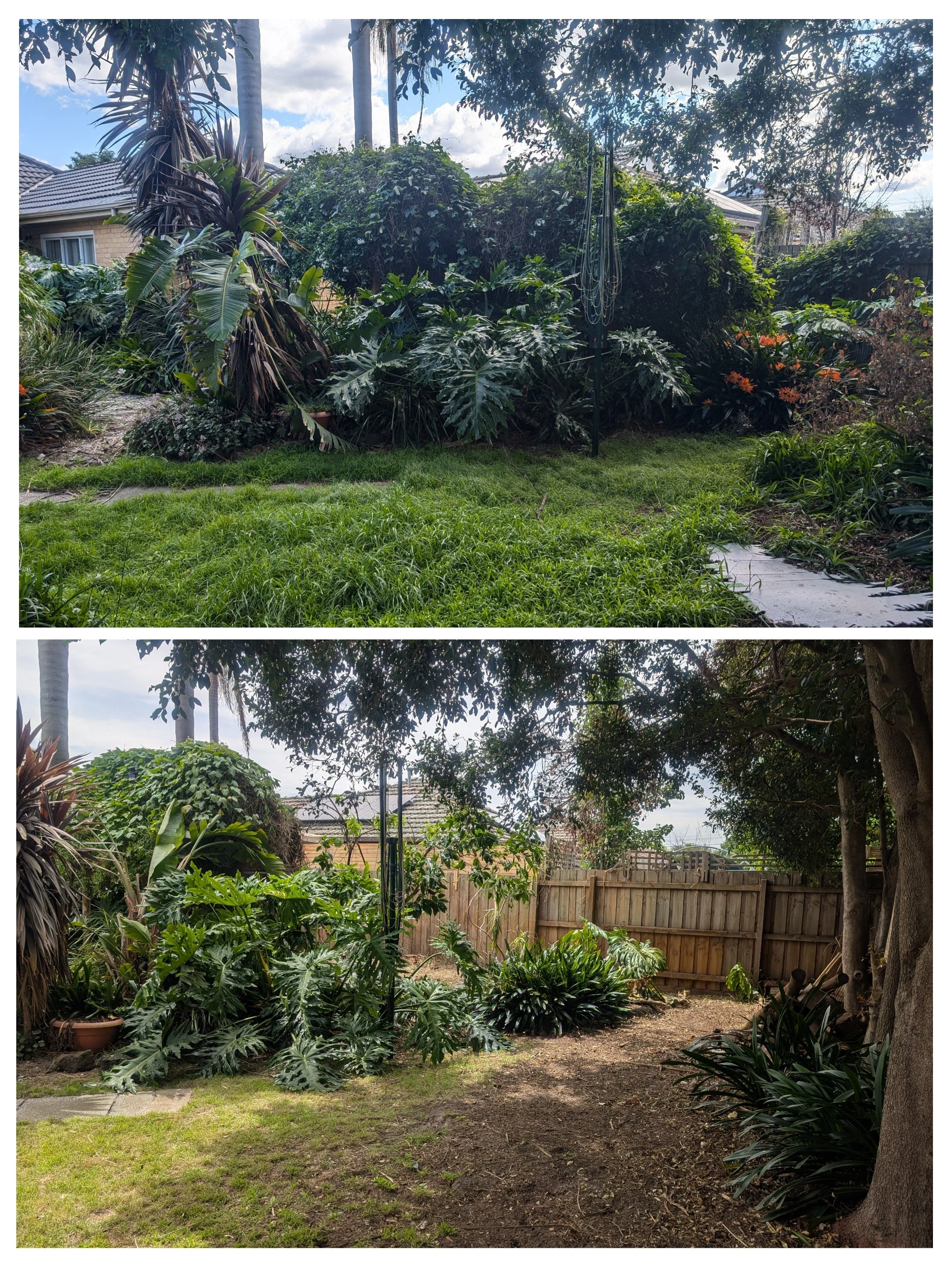 overgrown garden cleanup before and after