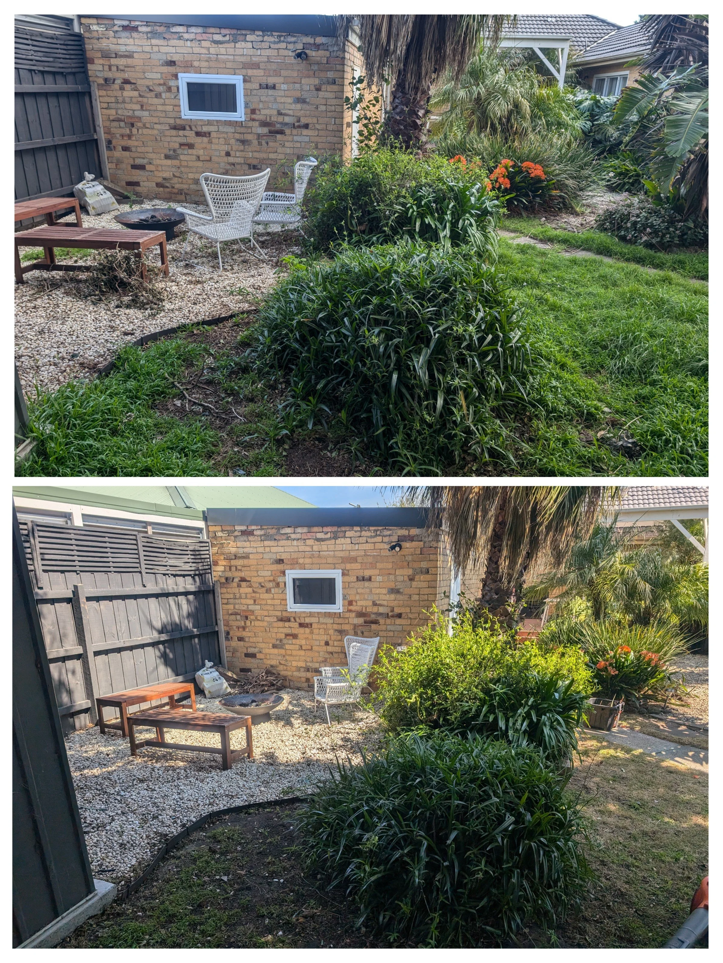 overgrown garden cleanup before and after