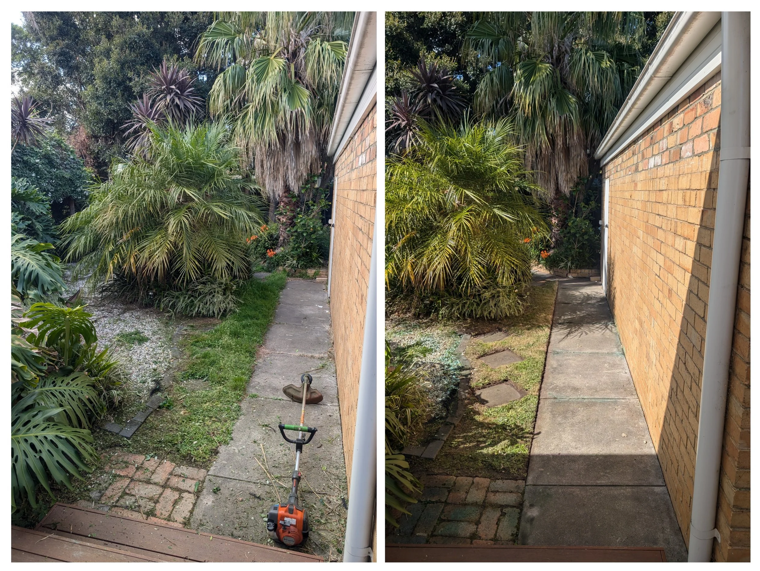 overgrown garden cleanup before and after