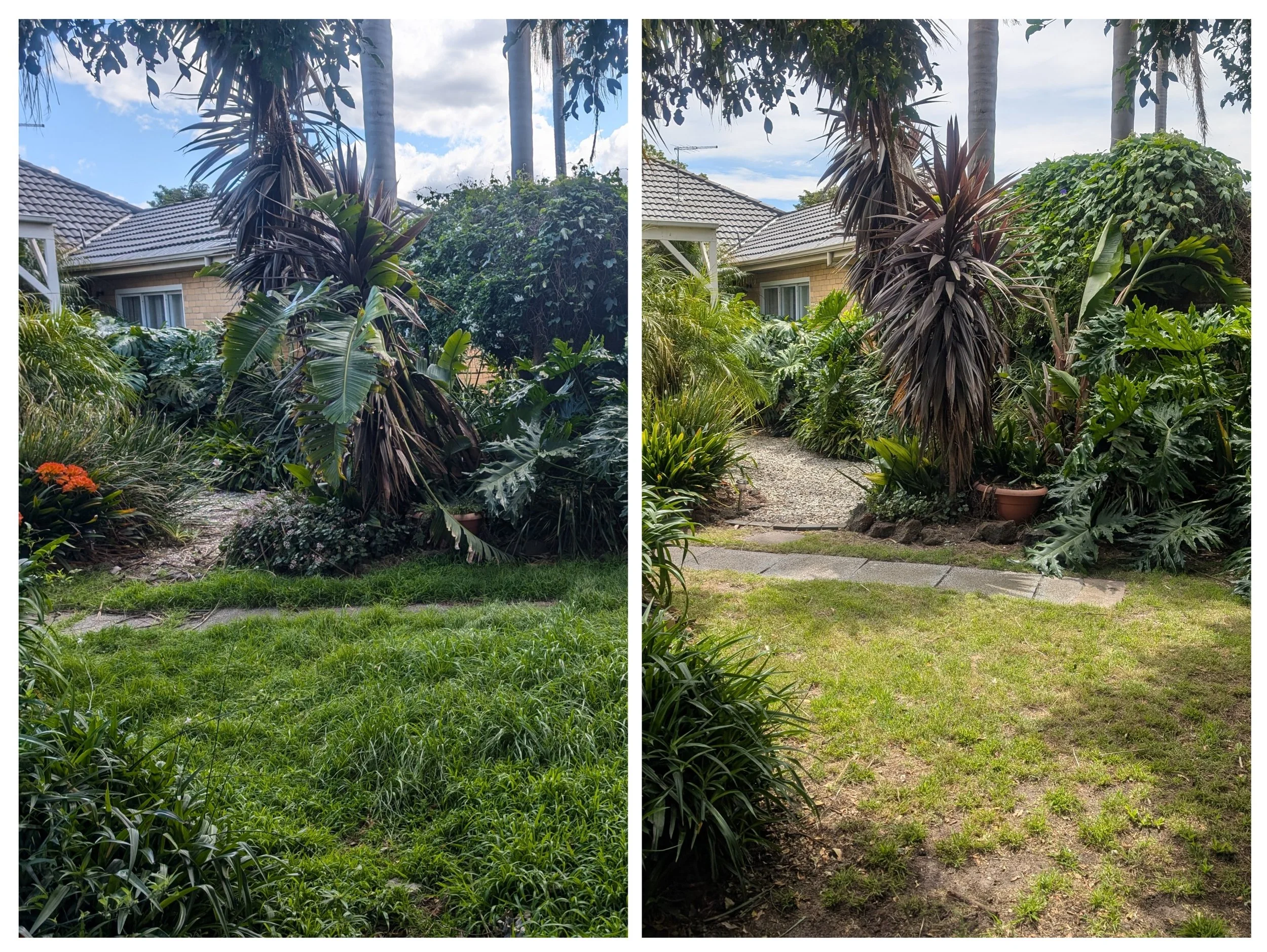 overgrown garden cleanup before and after