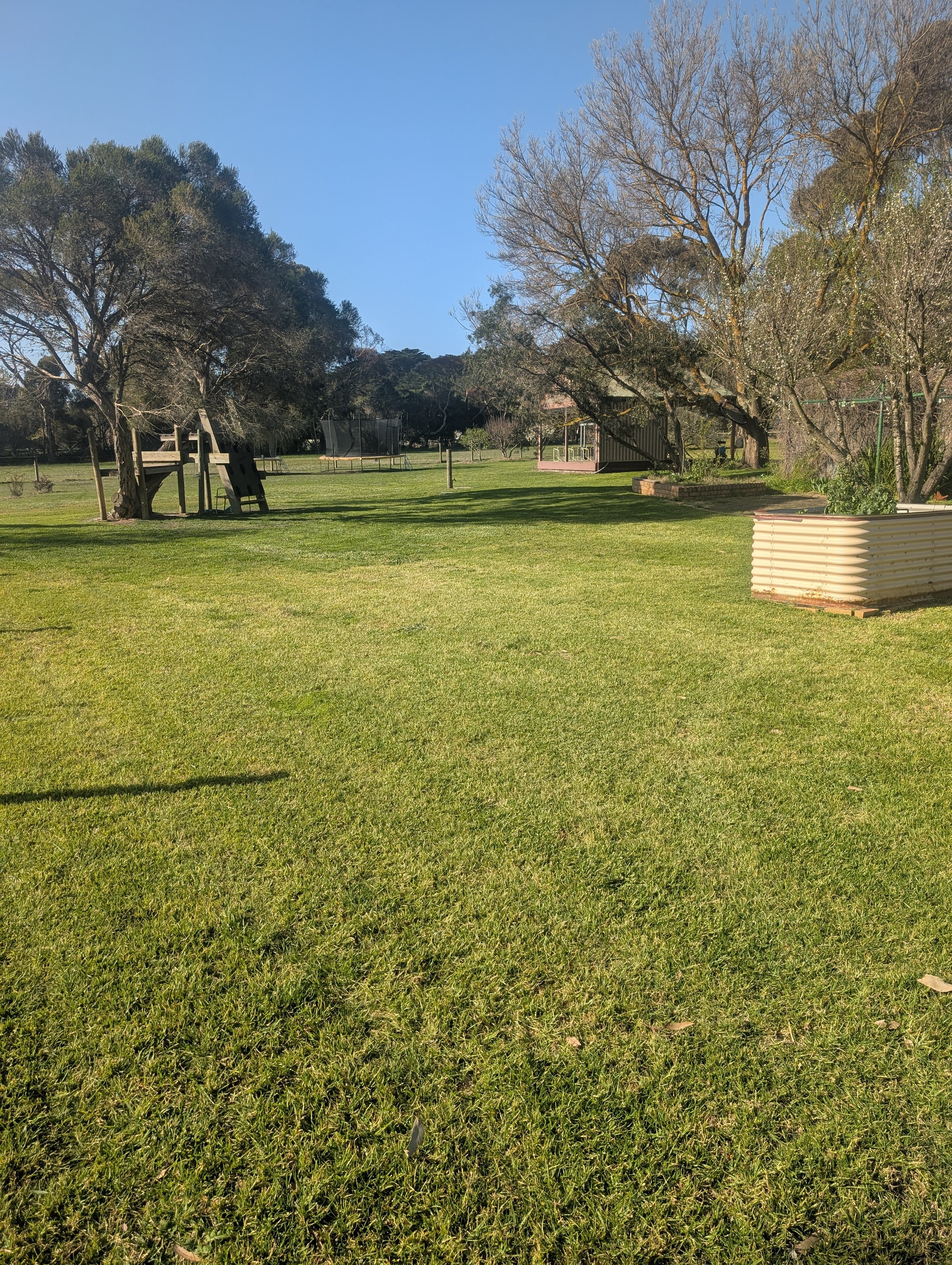 Lawncare after