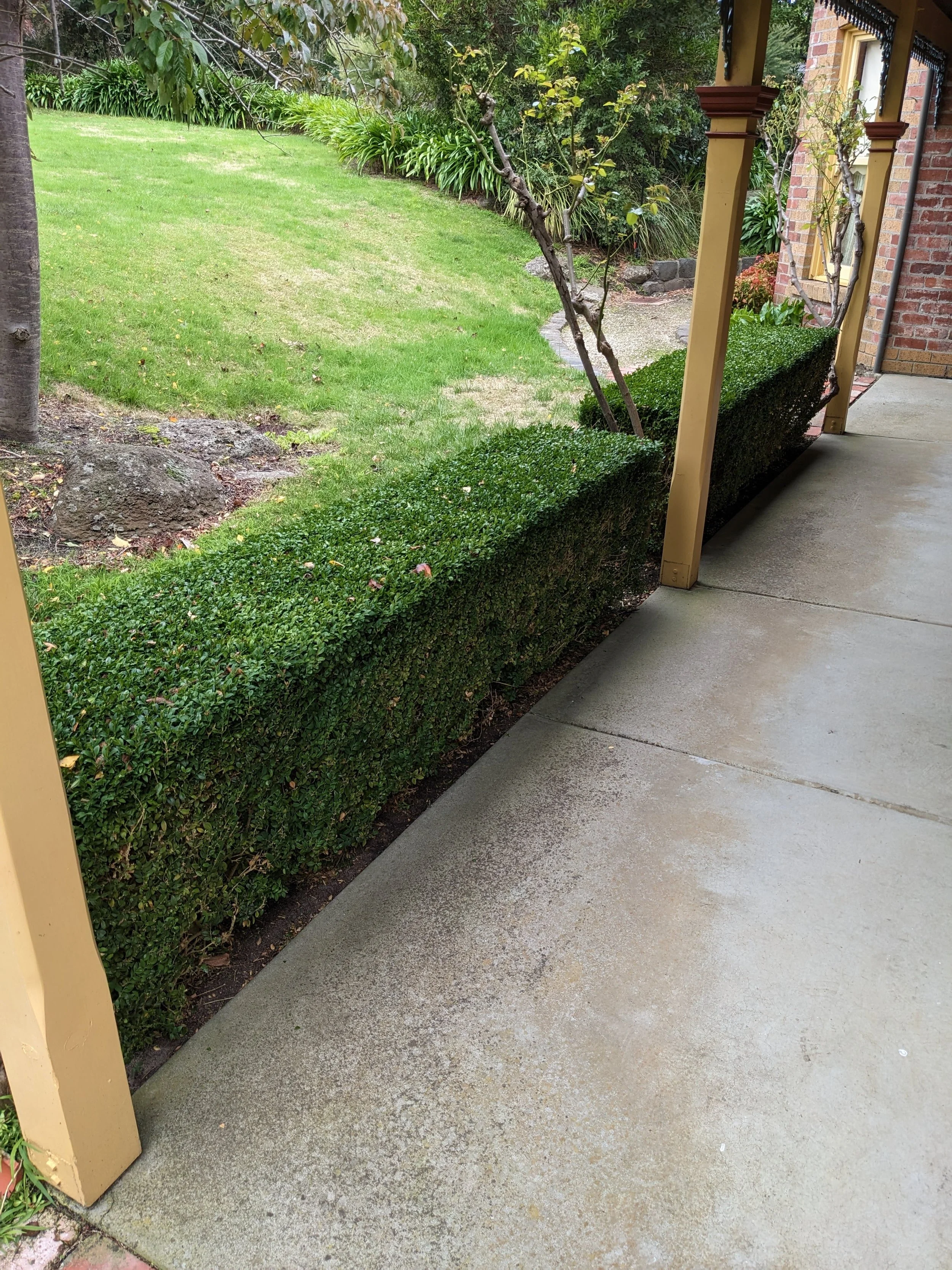 hedging after
