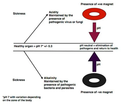 Diagram showing how magnets are used in Biomagnetic Pair Therapy