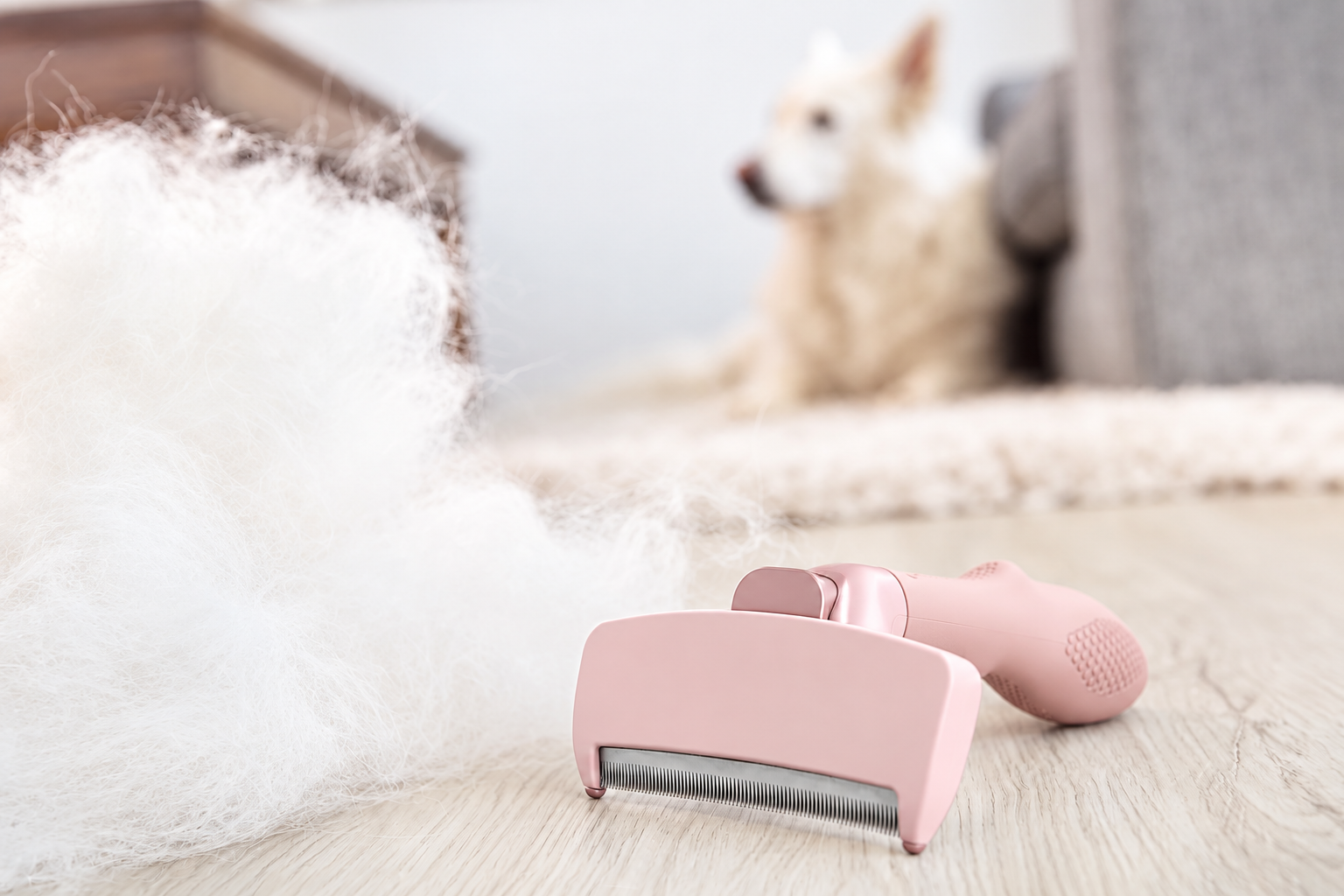 A pink pet grooming clipper and brush on a wooden floor with fluffy white pet fur and a blurred dog in the background.