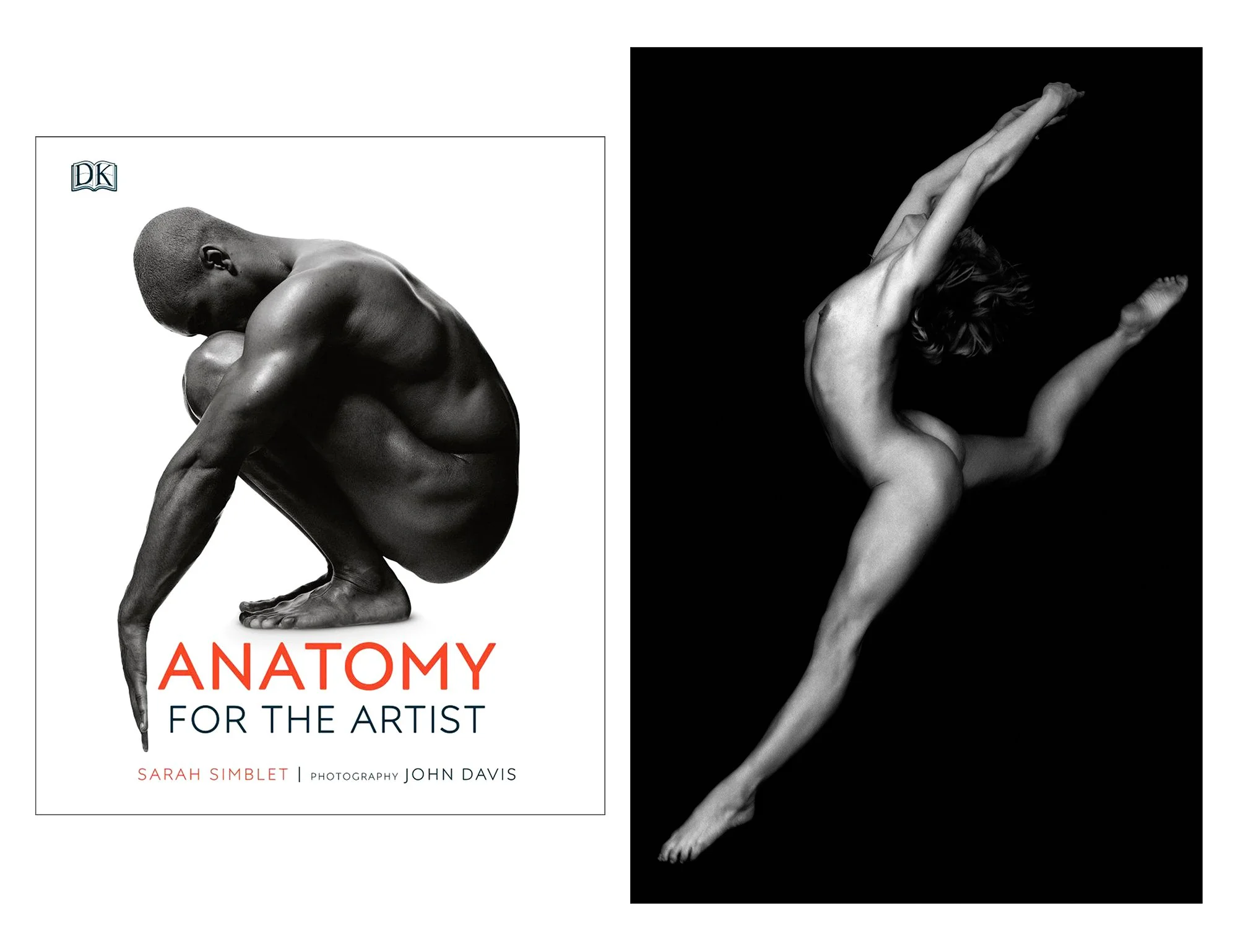 Anatomy_1.jpg