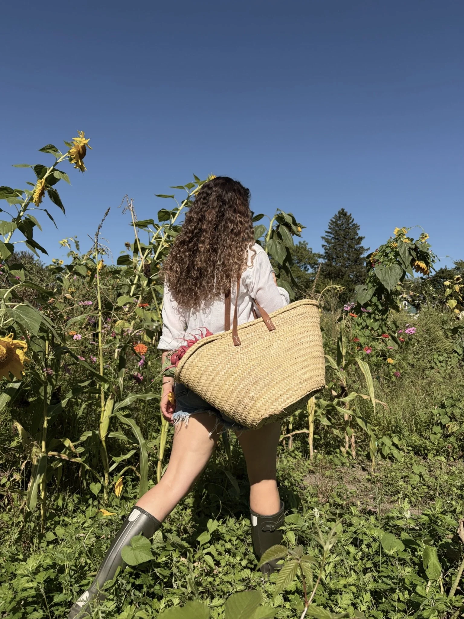 A person with curly hair, wearing a white shirt, black shorts, and rain boots, walking through a field of tall sunflowers and other flowers under a bright blue sky, carrying a large woven straw bag.