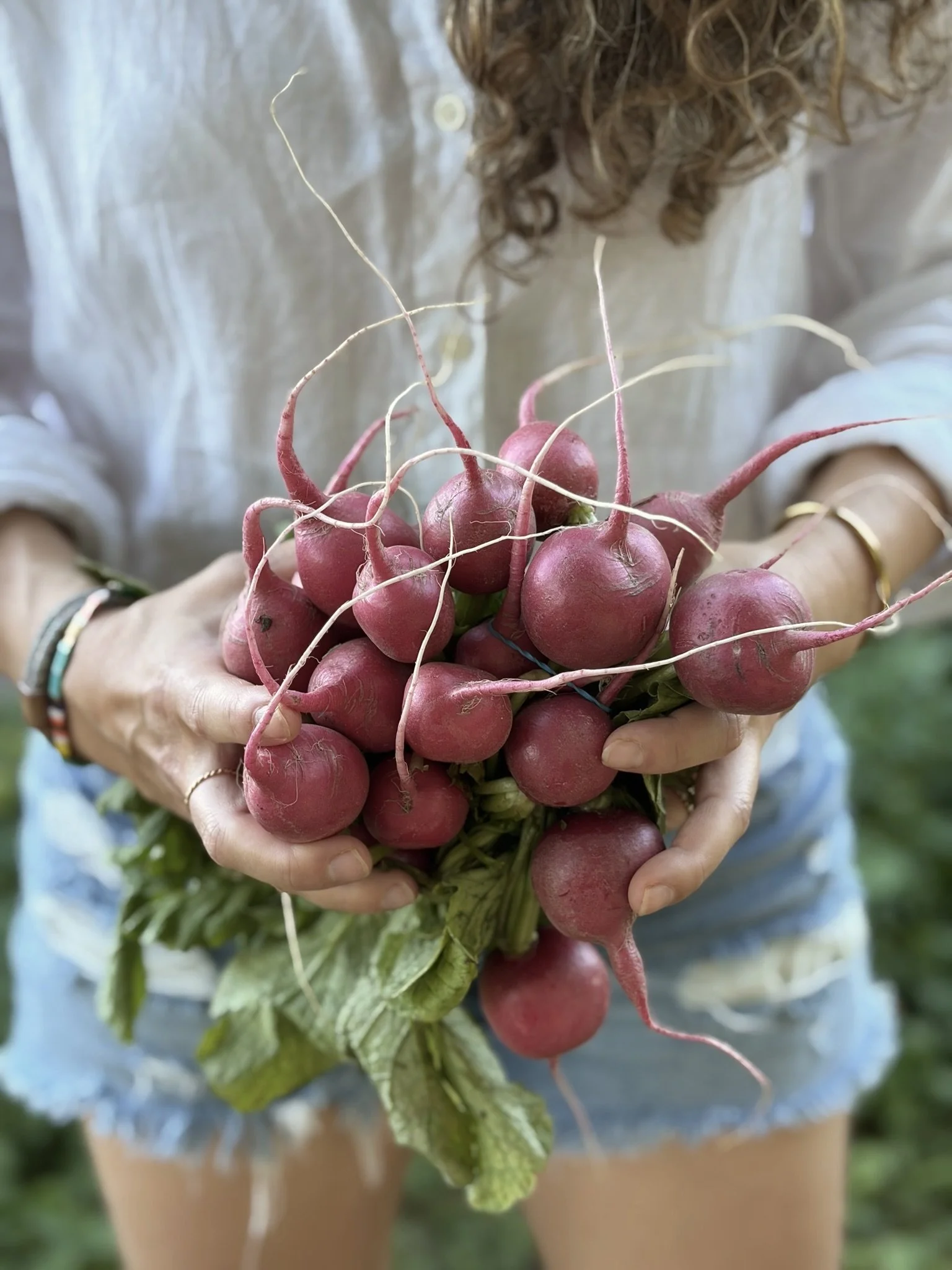 Person in a light-colored shirt holding a bunch of freshly harvested red radishes with green leaves, with the person's curly hair partially visible.