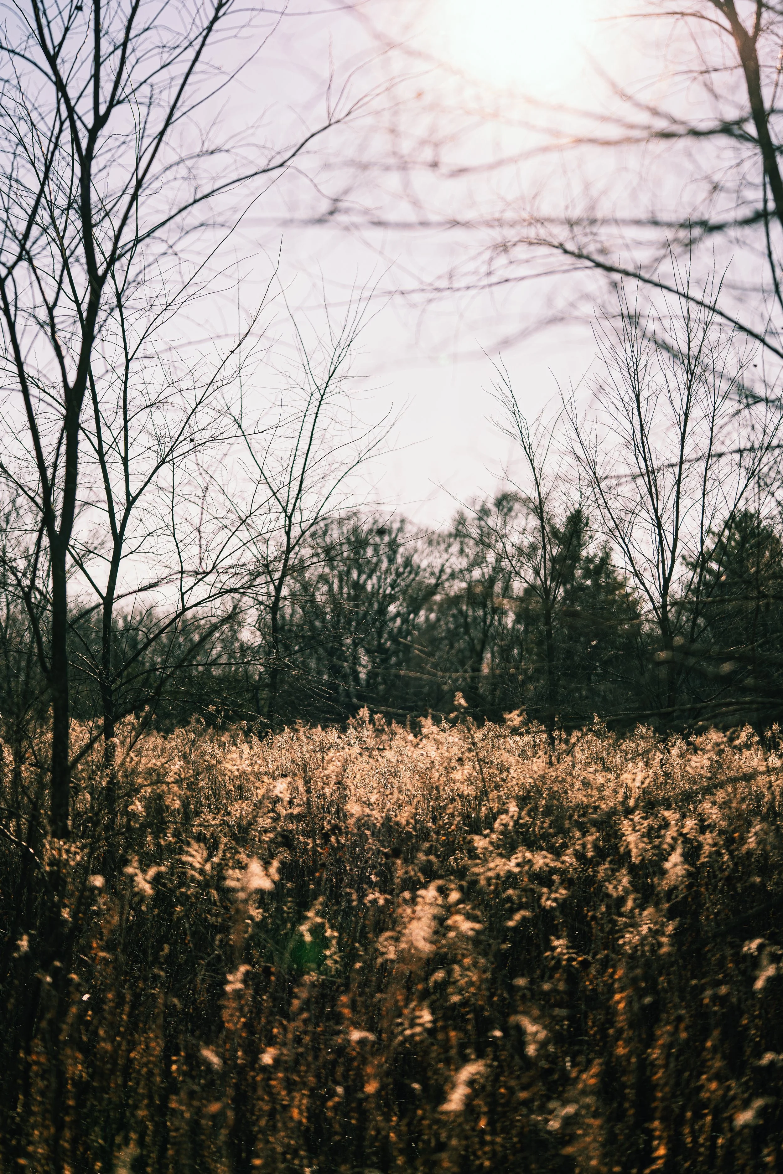 DSC03899.jpeg