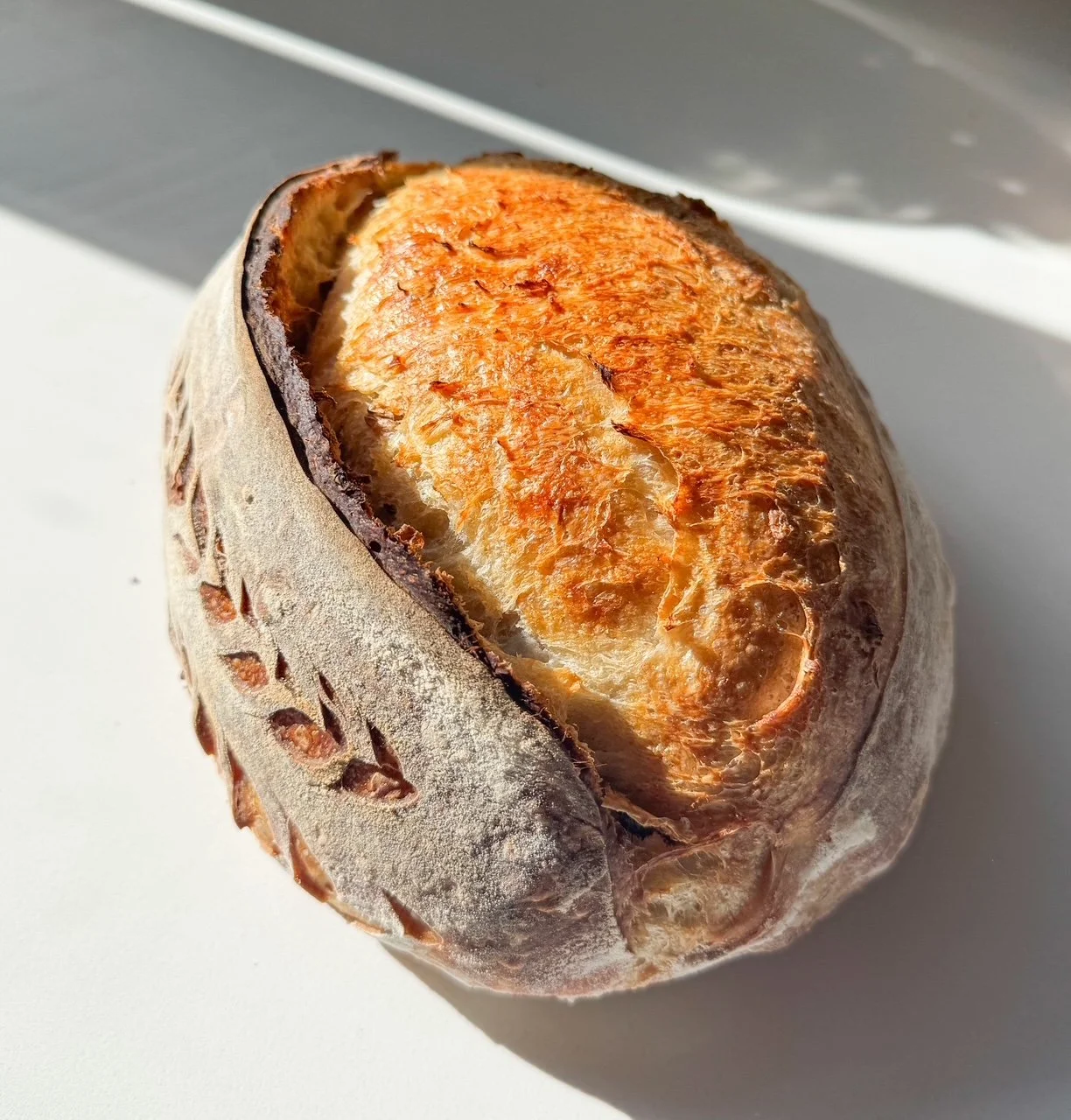Sourdough - White